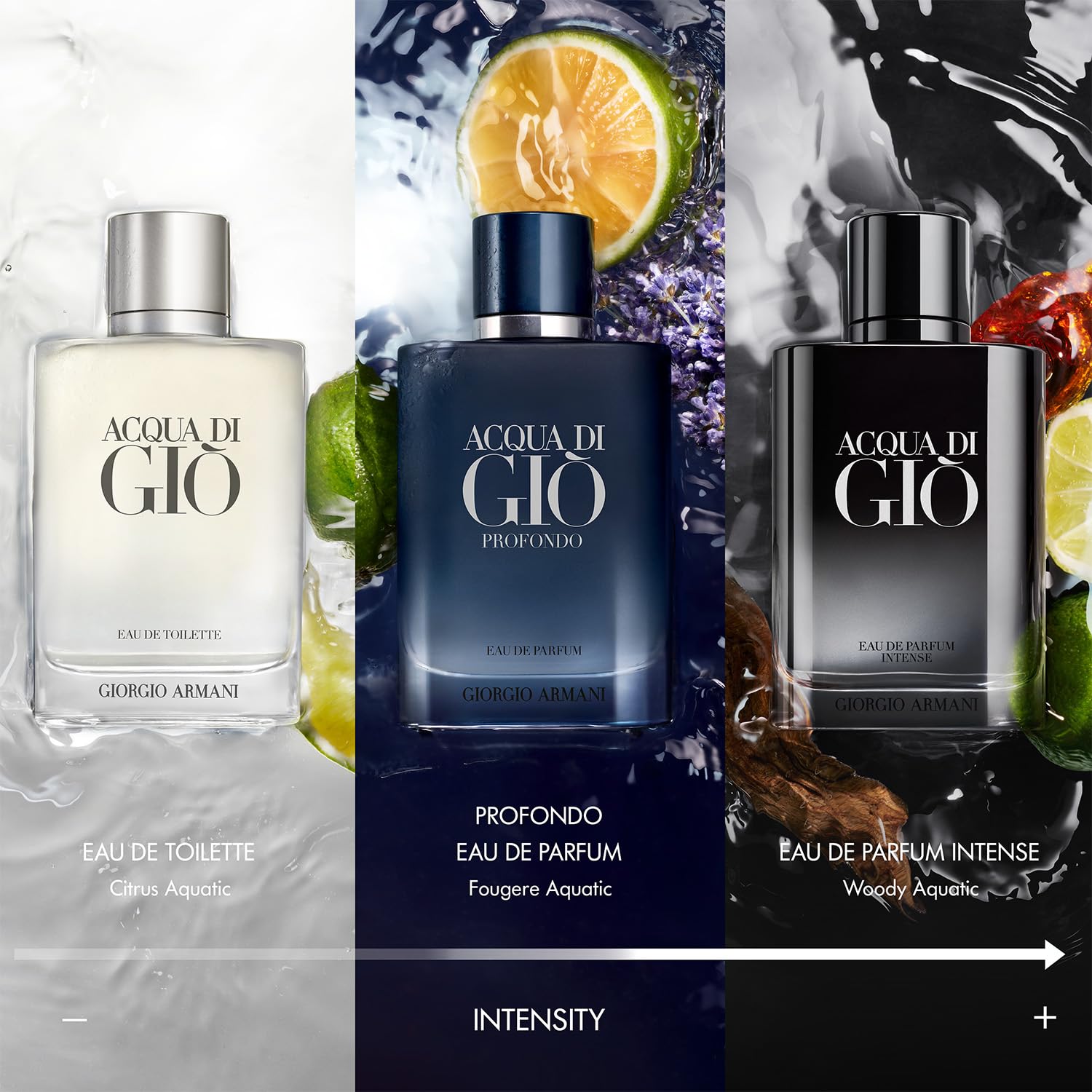 Detalle de Armani Beauty Acqua di Giò Profondo 3614273953696 Eau de Parfum, Marine Notes