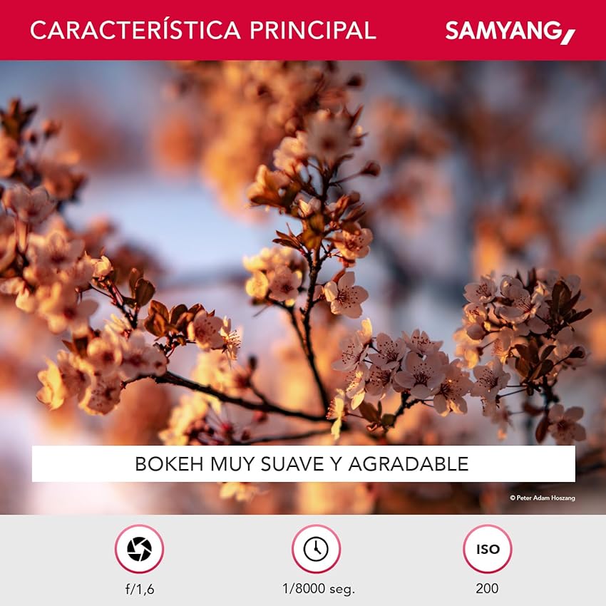 Thumbnail 5 de Samyang SA7073: objetivo AF 85 mm F1.4 para Nikon F