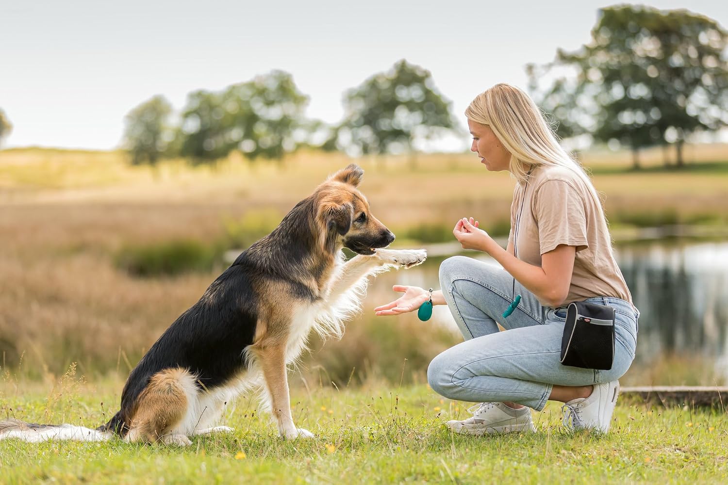 Detalle 1 de TRIXIE Corn Dogs snacks sans gluten au canard & peau de bœuf – 4 pièces (31749) pour chien