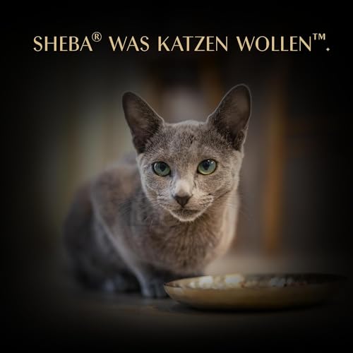 Thumbnail 6 de SHEBA Filets Adult Katzenfutter in Sauce mit Huhn – 16 x 60 g Schale