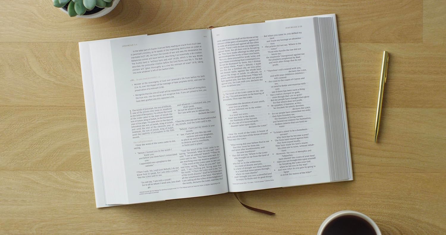 Detalle de ESV Beholding Christ Bible Hardcover with Full ESV Text and 365 Daily Introductions