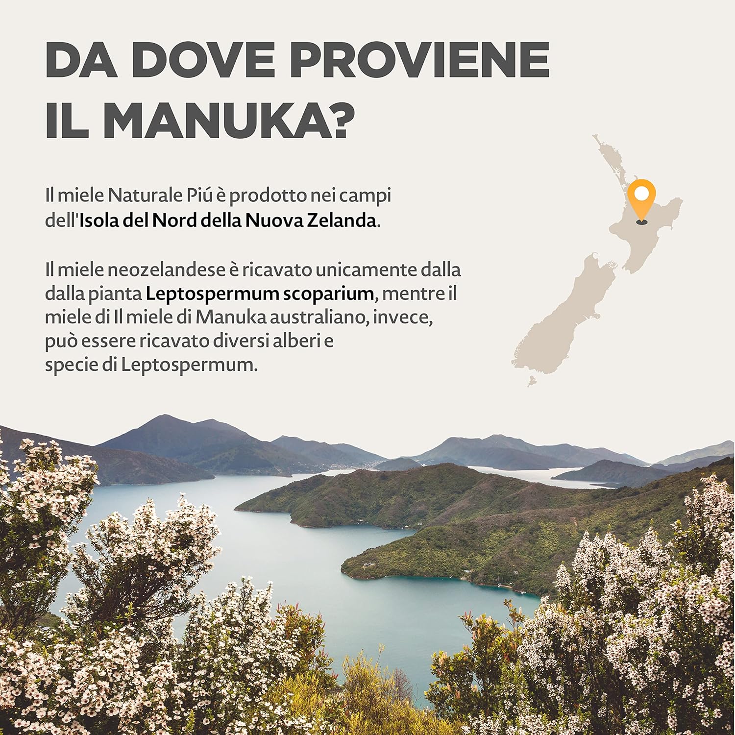 Detalle de NaturalePiù Miele di Manuka 100+ MGO 250 g: puro, grezzo e Testato in Laboratorio