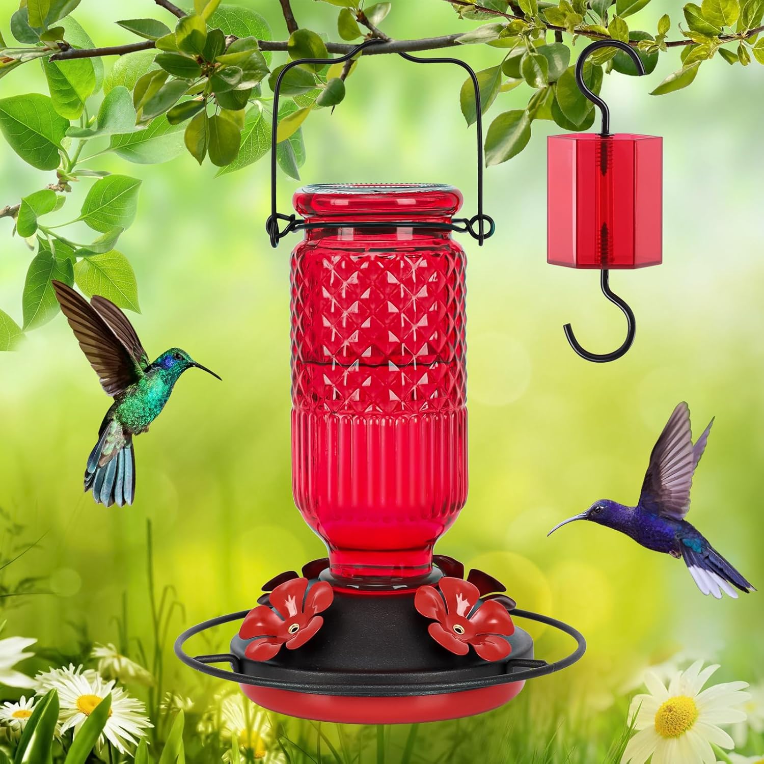 Thumbnail 6 de FEED GARDEN Glass Hummingbird Feeder (16oz) with Ant Moat, 4 Bee-Proof Ports & 360° Perch