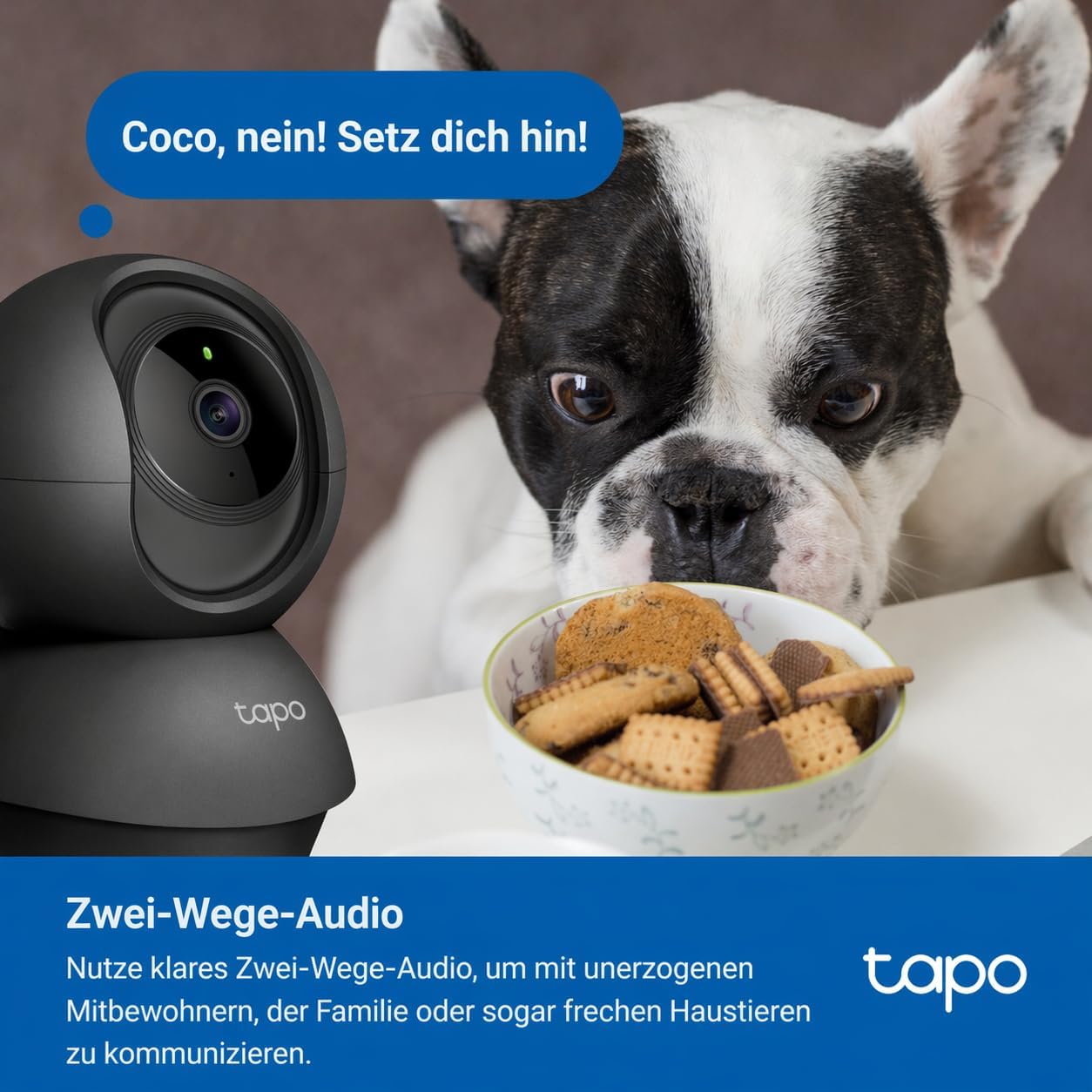 Thumbnail 4 de Tapo C201 1080P Innenkamera 360°