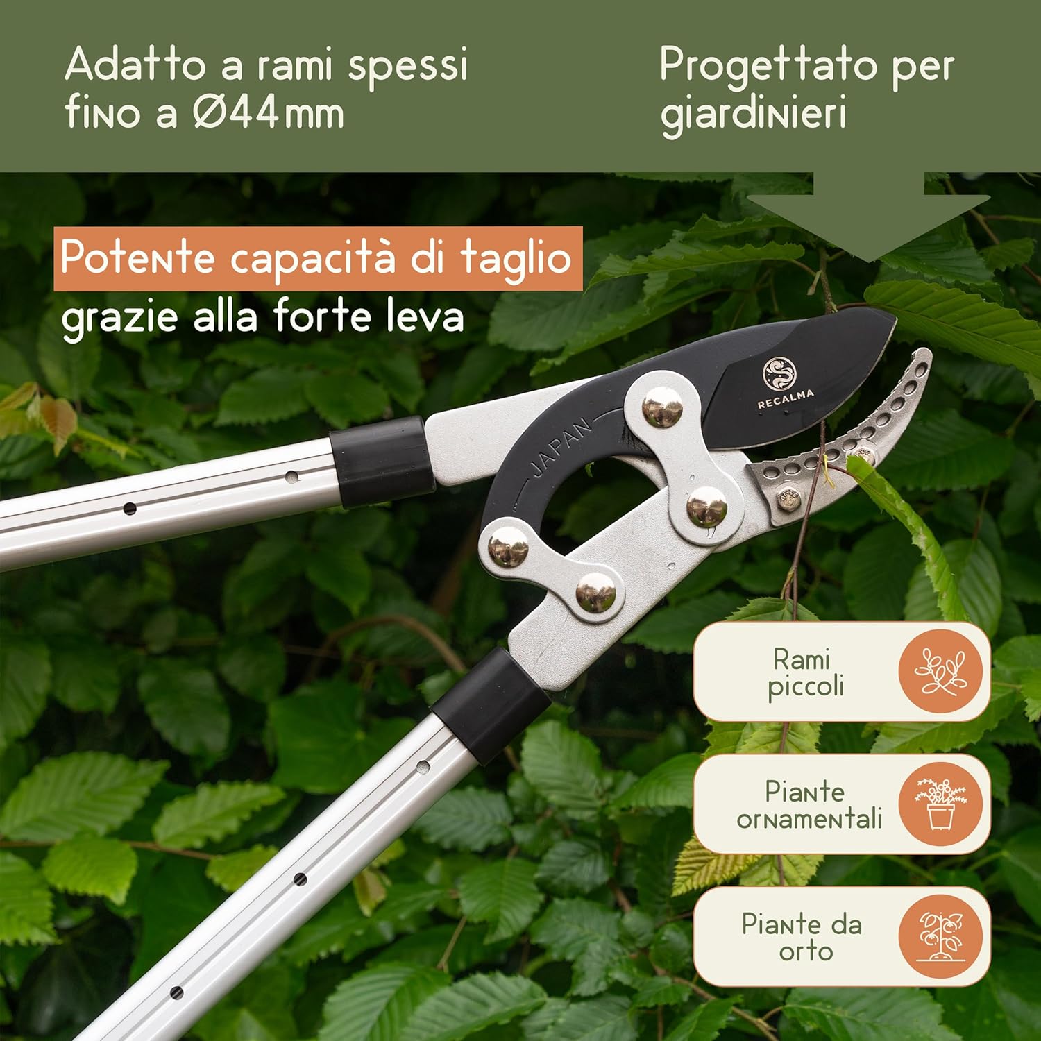 Thumbnail 3 de Recalma Recalma Troncami telescopici: manico 50–82 cm, acciaio temprato, rami >44 mm e cesoie regolabili