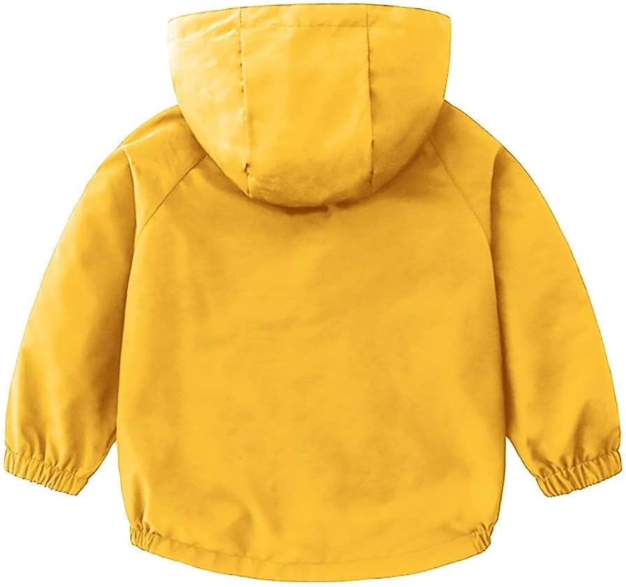 Thumbnail 6 de Veste à capuche zippée Volunboy Bébé Garçon en polyester léger (poche zippée, automne & mi-saison)