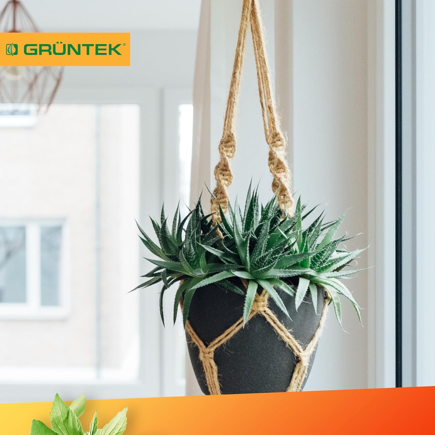Thumbnail 6 de GRÜNTEK Corde Sisal Arbre à Chat 6mm Rechange Ficelle Sisal – rouleau 60 m