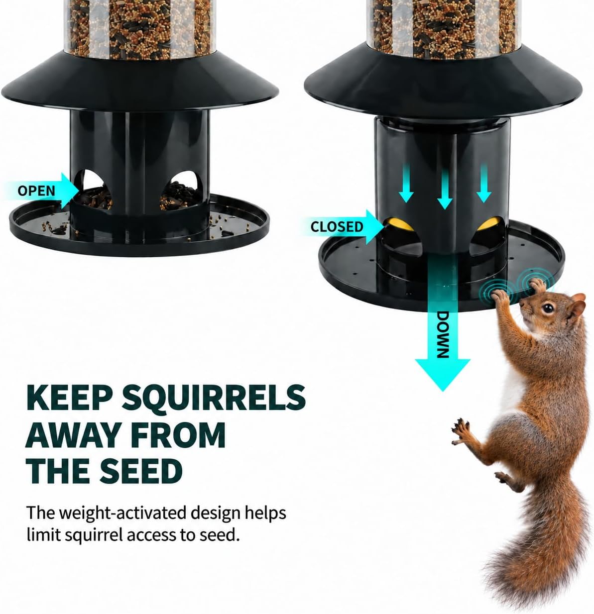 Detalle 2 de Dreamdrawer AQ-001 Squirrel-Resistant Hanging Bird Feeder with 360° Perch