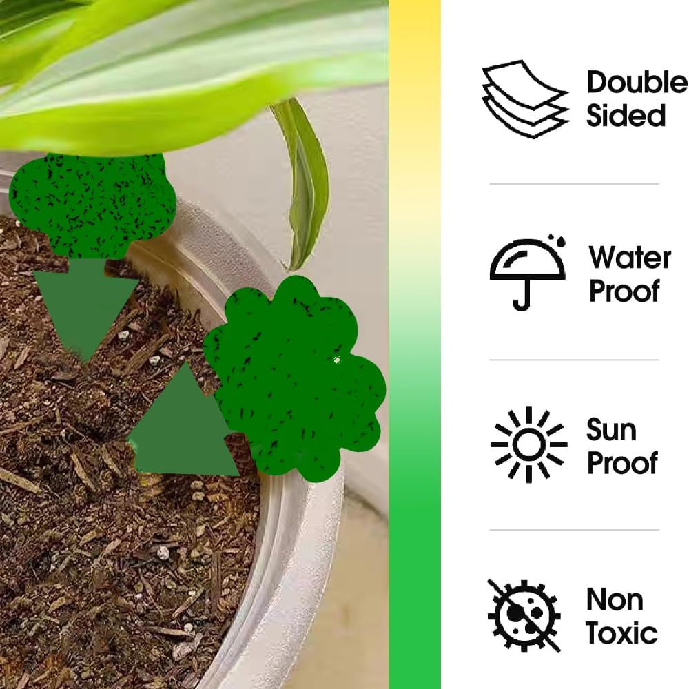 Detalle de Cleanuper 58 green Gnat Sticky Traps, 58-Pack, Green Double-Sided Cards