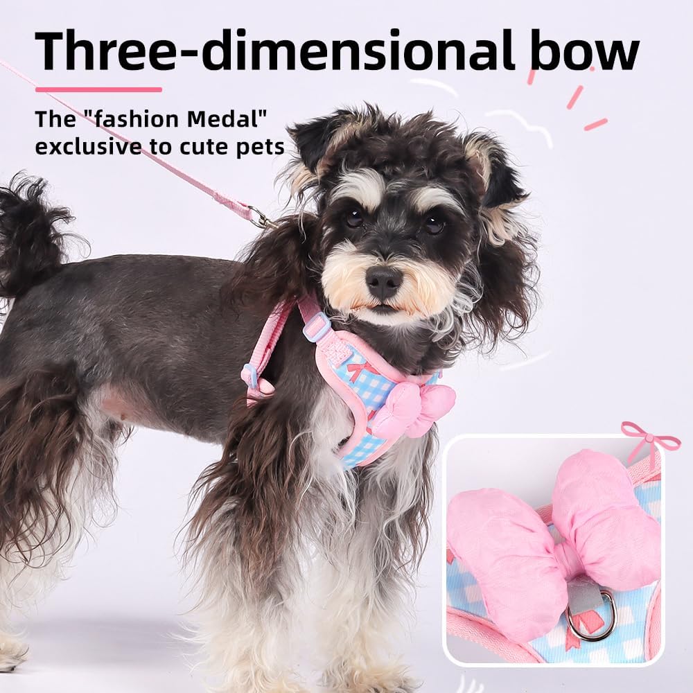 Detalle 1 de MAJIAYU Dog Harness and Leash Set, S