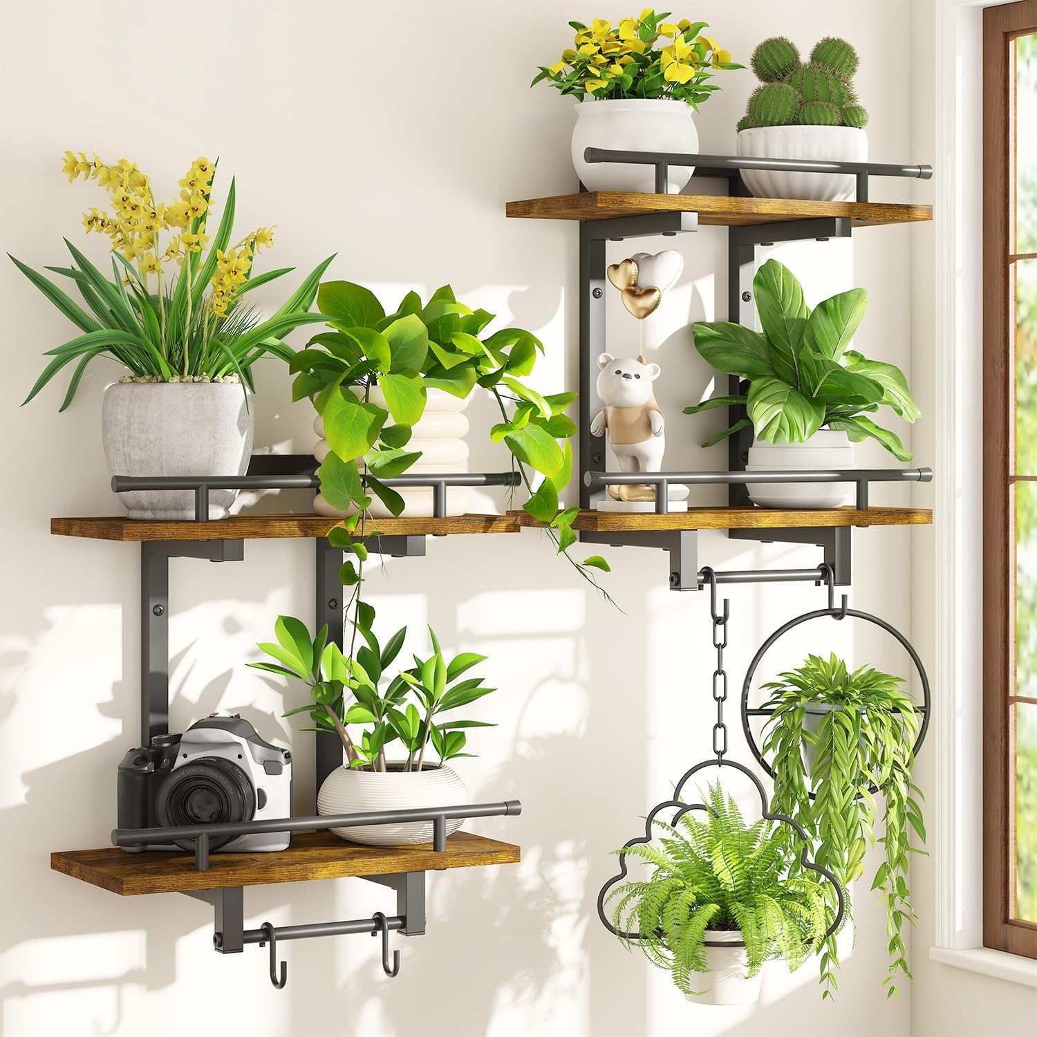 Detalle de iDavosic.ly Wall Plant Holder