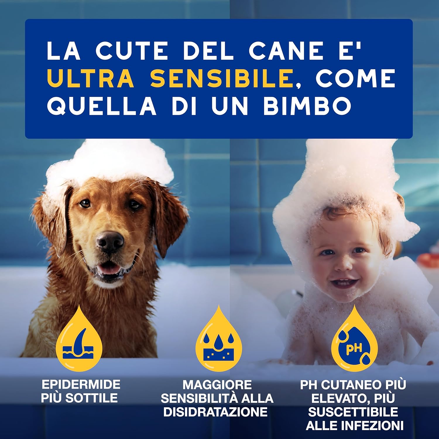 Detalle de DOUXO Shampoo all'Avena 250 ml