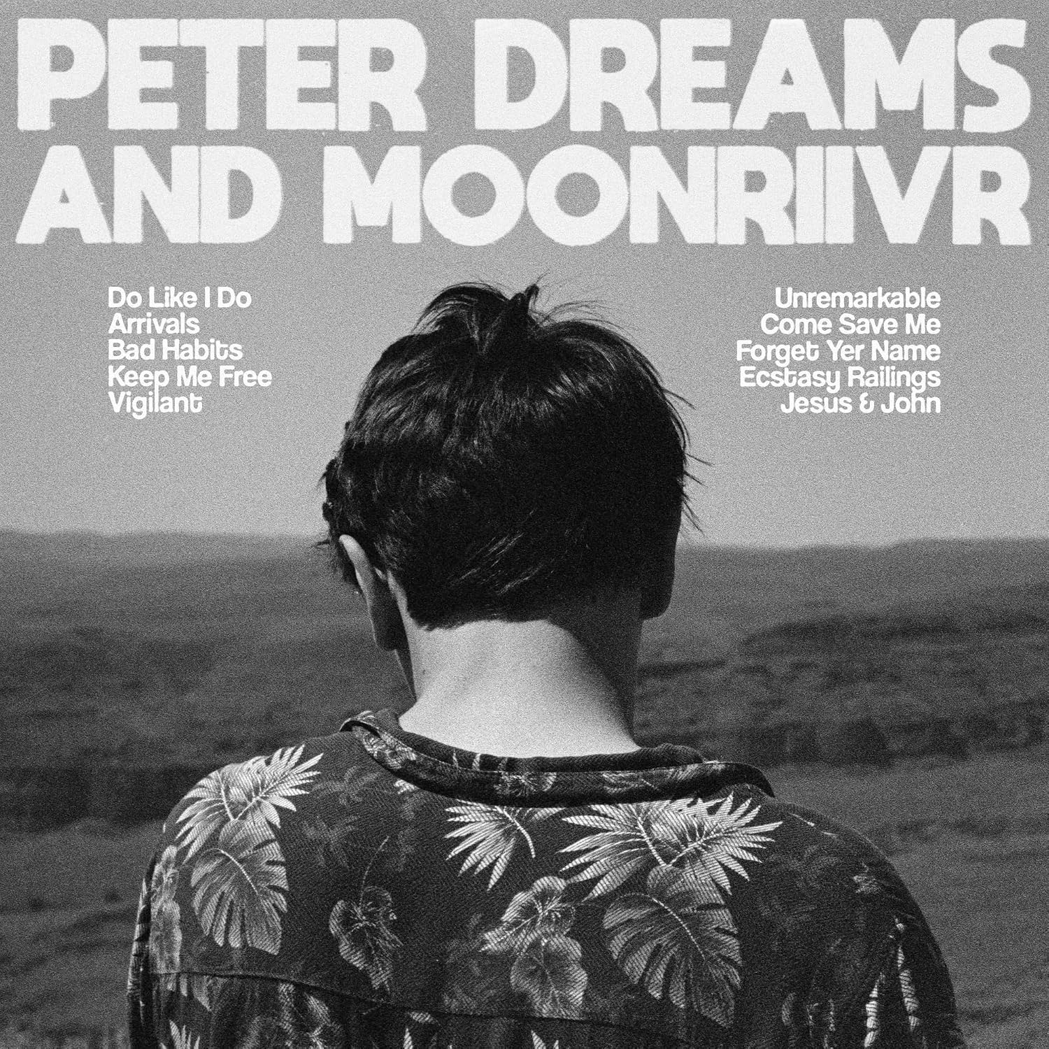 Detalle de Peter Dreams and MOON RIIVR Vinyl Record, Clear with Black Marble Veining