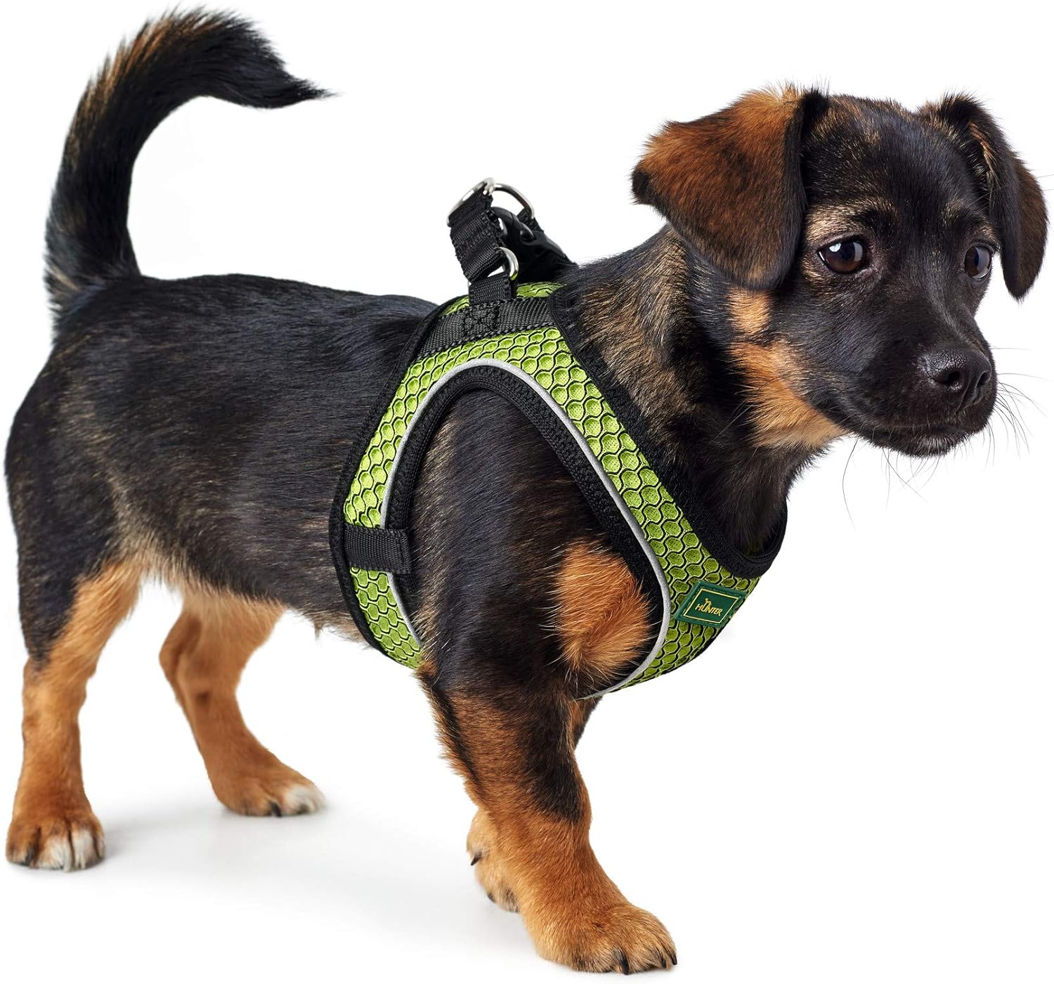 Detalle de HUNTER HILO COMFORT Hundegeschirr – Gr. M-L, limette, 3D-Mesh, reflektierend