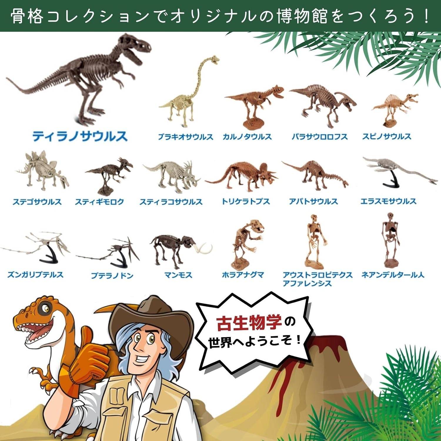 Thumbnail 4 de GEOWORLD CL1684KJ モササウルス恐竜発掘キット｜日本語パッケージ・骨格組み立て・約36cm