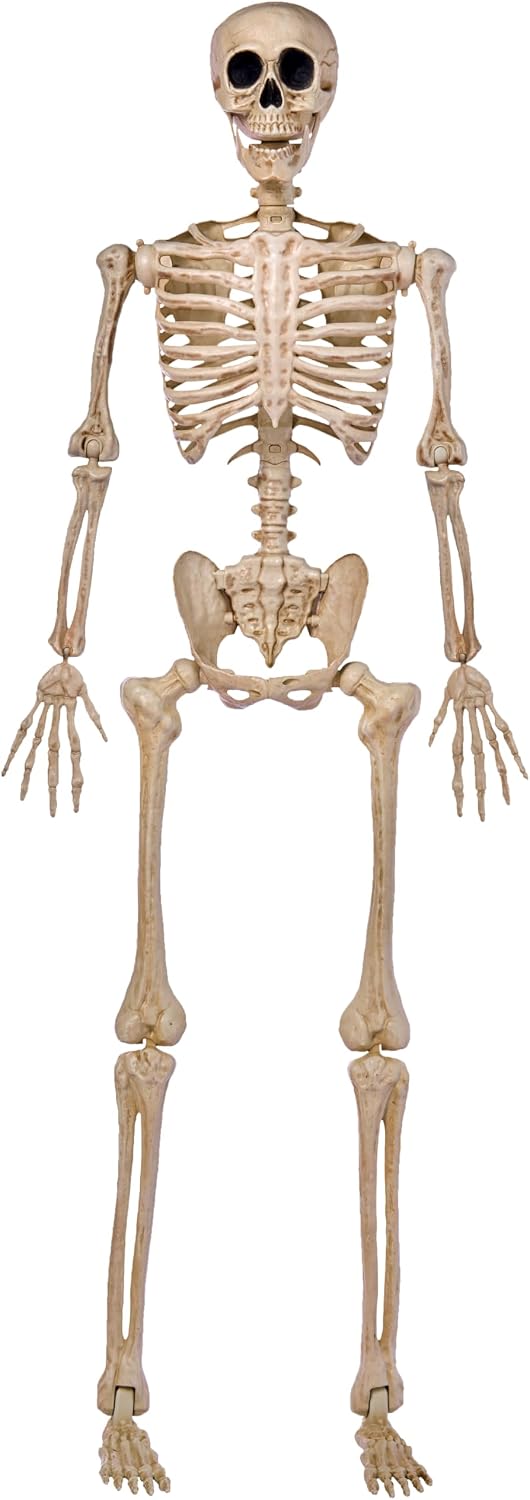 Detalle de JOYIN 5 FT Life-Size Halloween Skeleton Decor with Posable Joints
