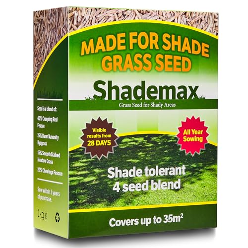 Shademax – Grass Seeds for Shady Areas (1kg) by EFA International
