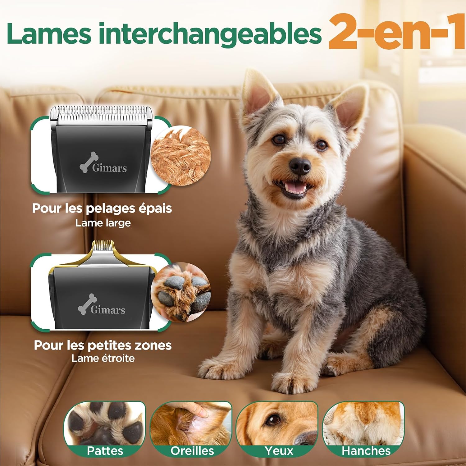 Detalle 2 de Gimars 4 en 1 Tondeuse Pour Chien Sans Fil