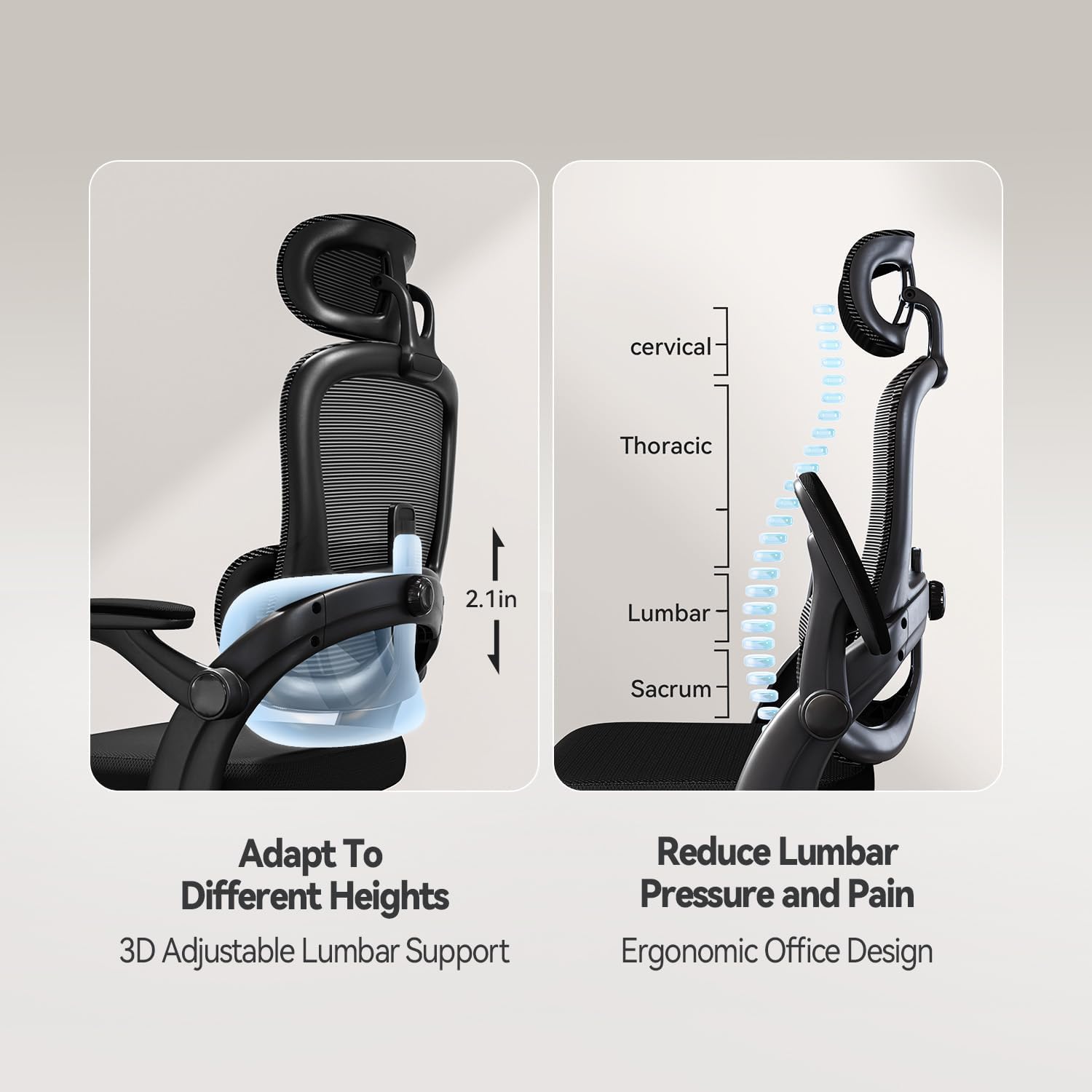 Detalle de SIHOO M102C sedia ergonomica da ufficio con supporto lombare
