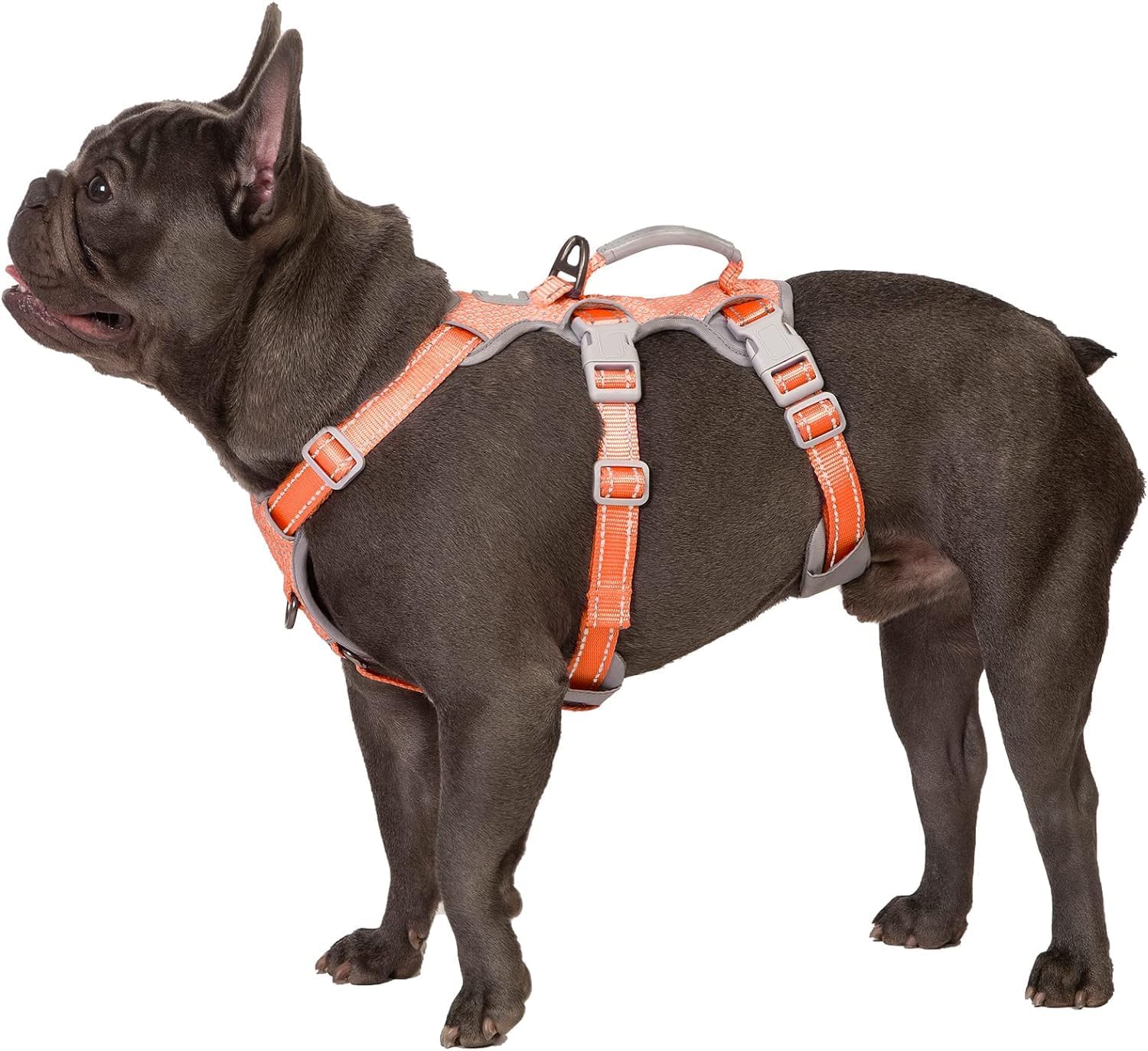 Detalle de Huntboo No Escape Dog Harness for Medium Dogs – Reflective, Padded Handle, Adjustable Vest