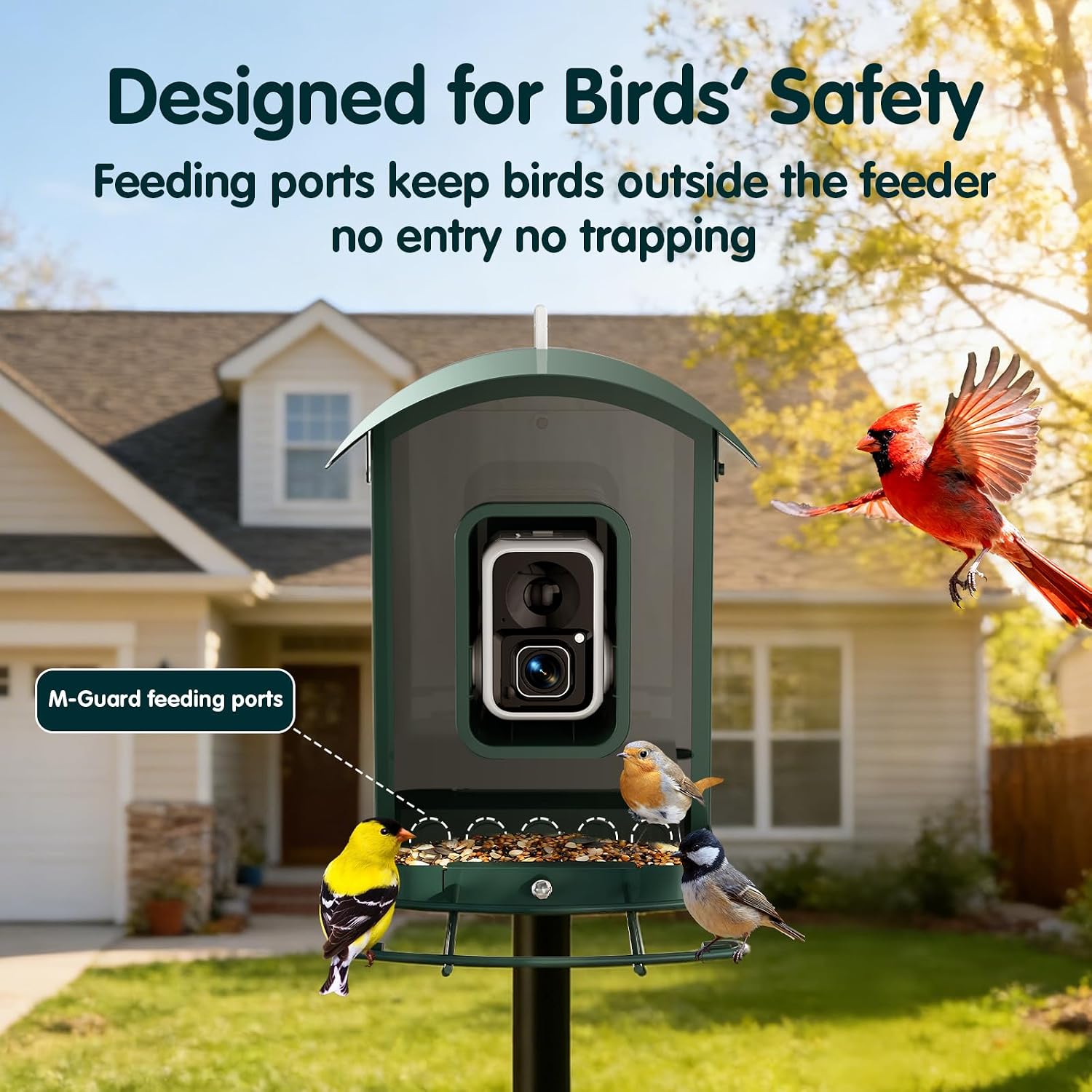 Detalle 2 de Humbirdy SH66 4K Smart Bird Feeder Camera with Solar Power