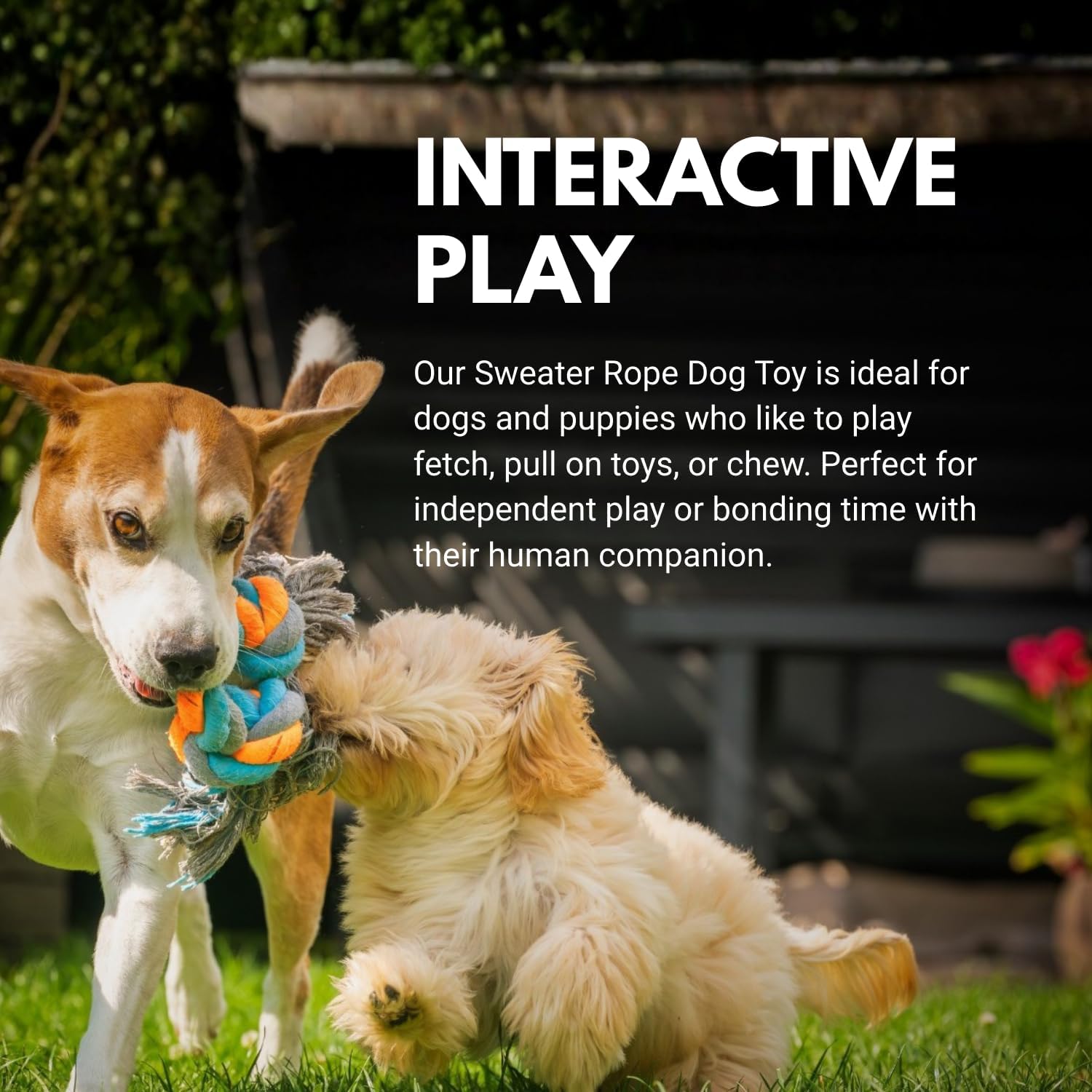 Detalle de Consumable Corner Braided Dog Rope Toy