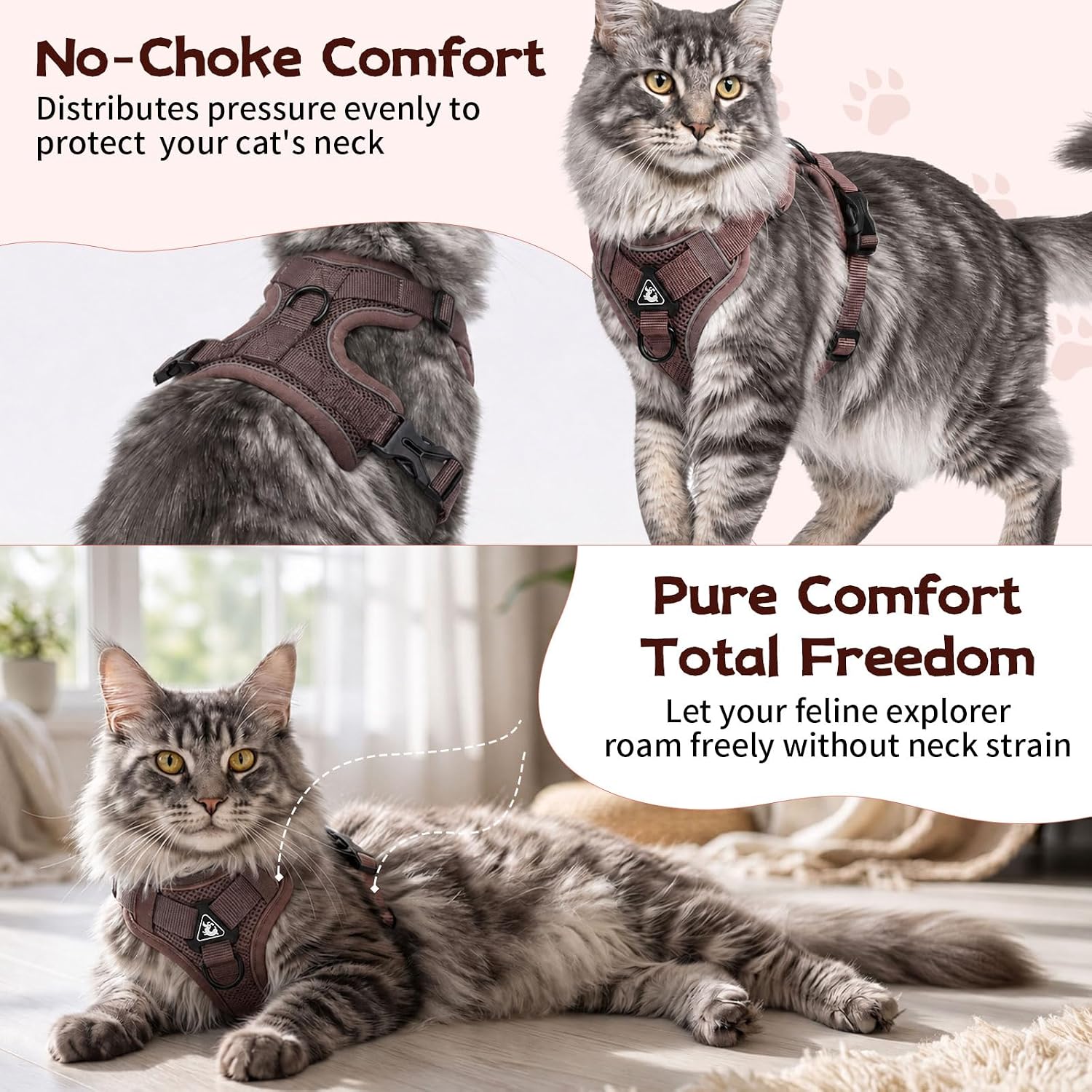 Detalle 2 de Cat and Small Dog Harness and Leash Set, XL
