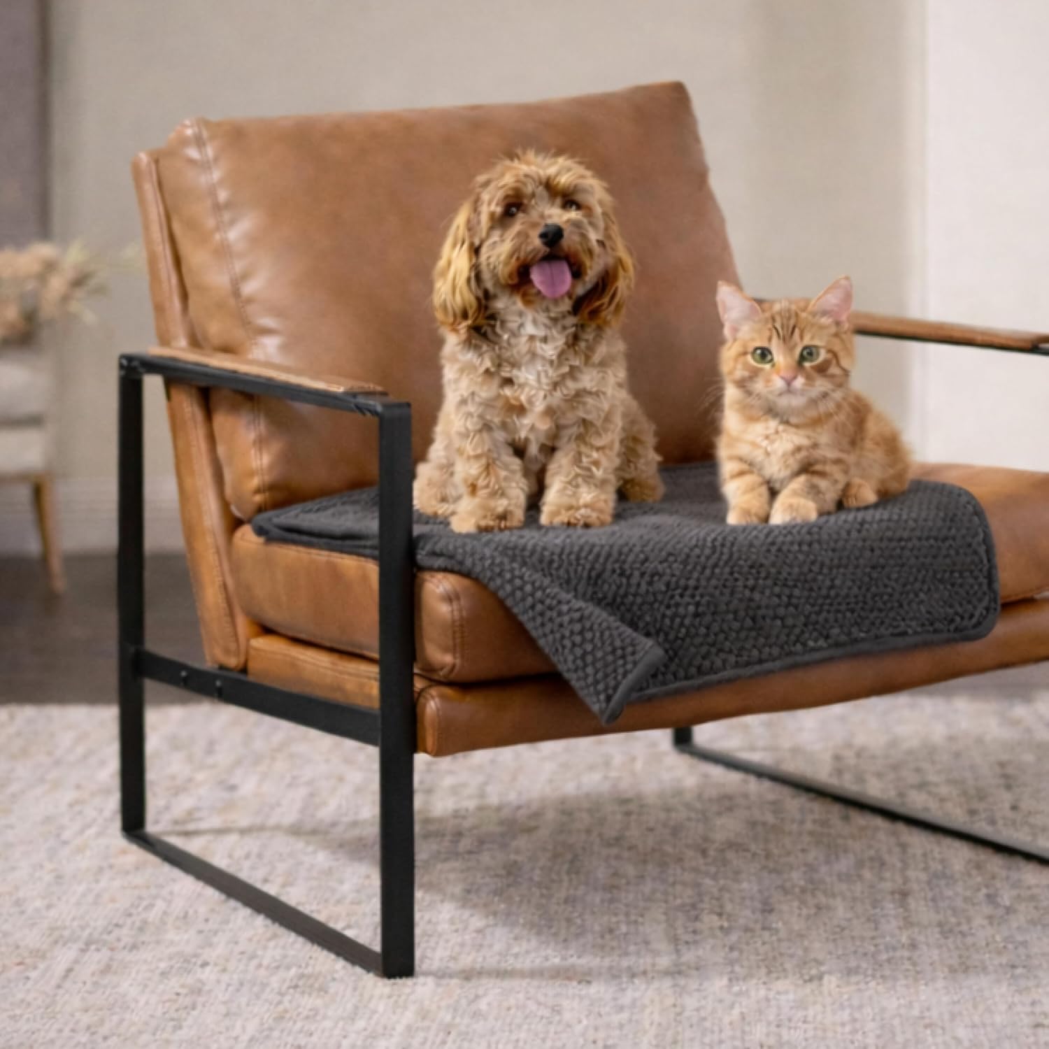 Detalle de Dreamzie Coperta Impermeabile per Cani 63x88 cm: protezione, comfort e stile per divano e letto