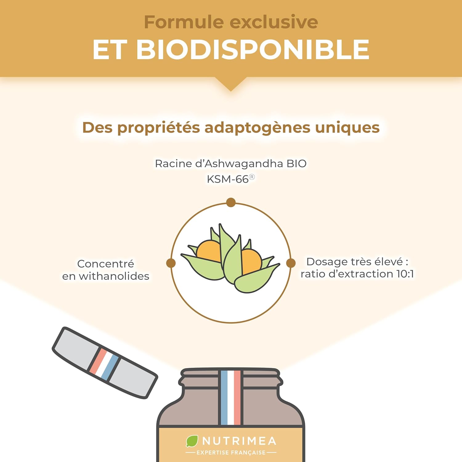 Thumbnail 3 de Ashwagandha KSM-66® Actif BIO 7200 mg (extrait 12:1 titré à 5% en withanolides) – 90 gélules vegan, Nutrimea