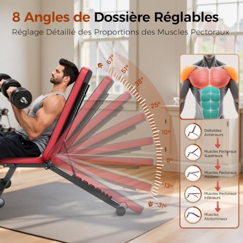 Detalle de FlyBird Banc de musculation réglable pour salle de sport à la maison – 8 positions, charge maxi 300 kg