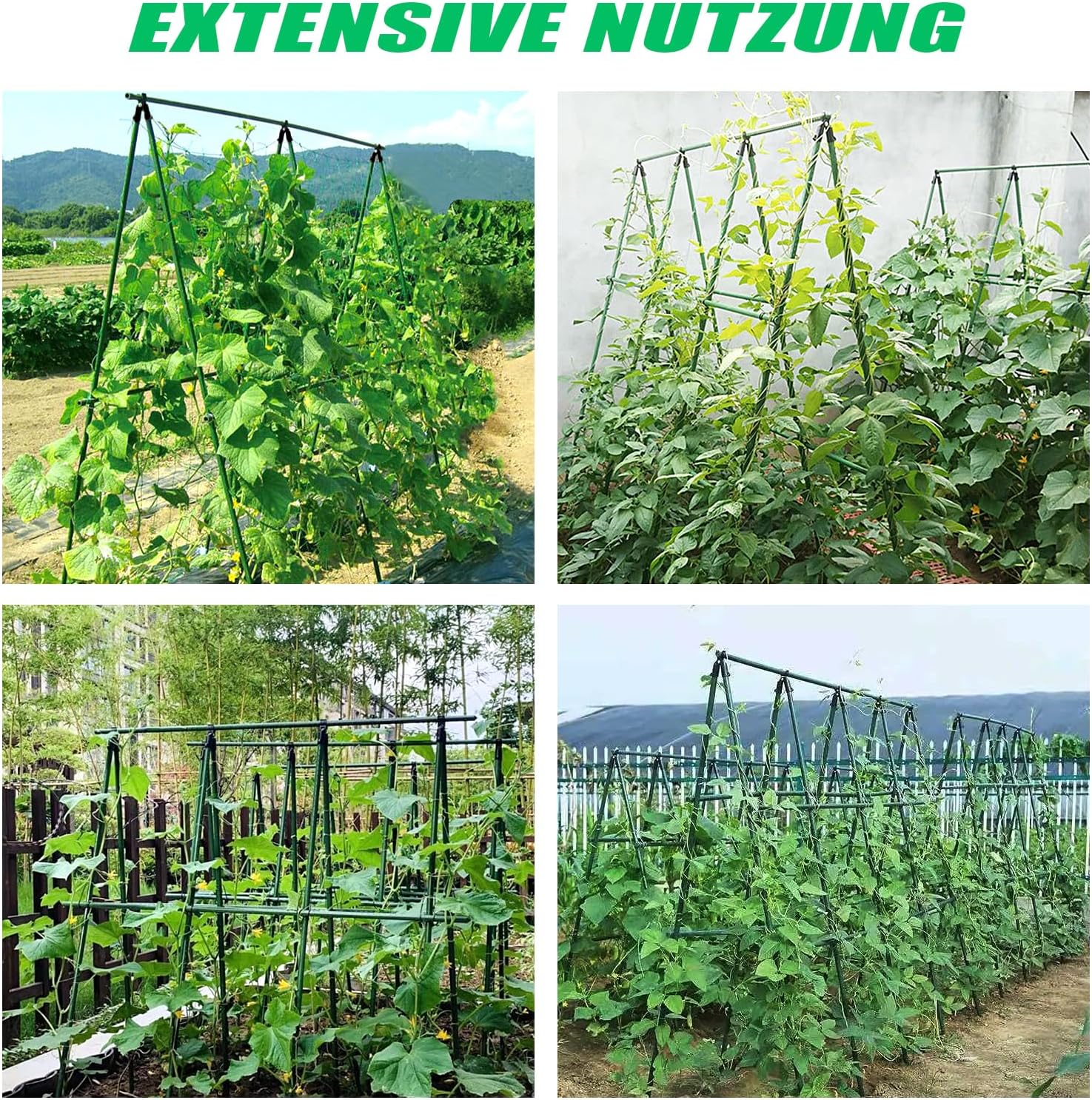 Thumbnail 5 de SUNYRISY Gurke Rankhilfe & Rankgitter in A-Form, 150 cm – grün