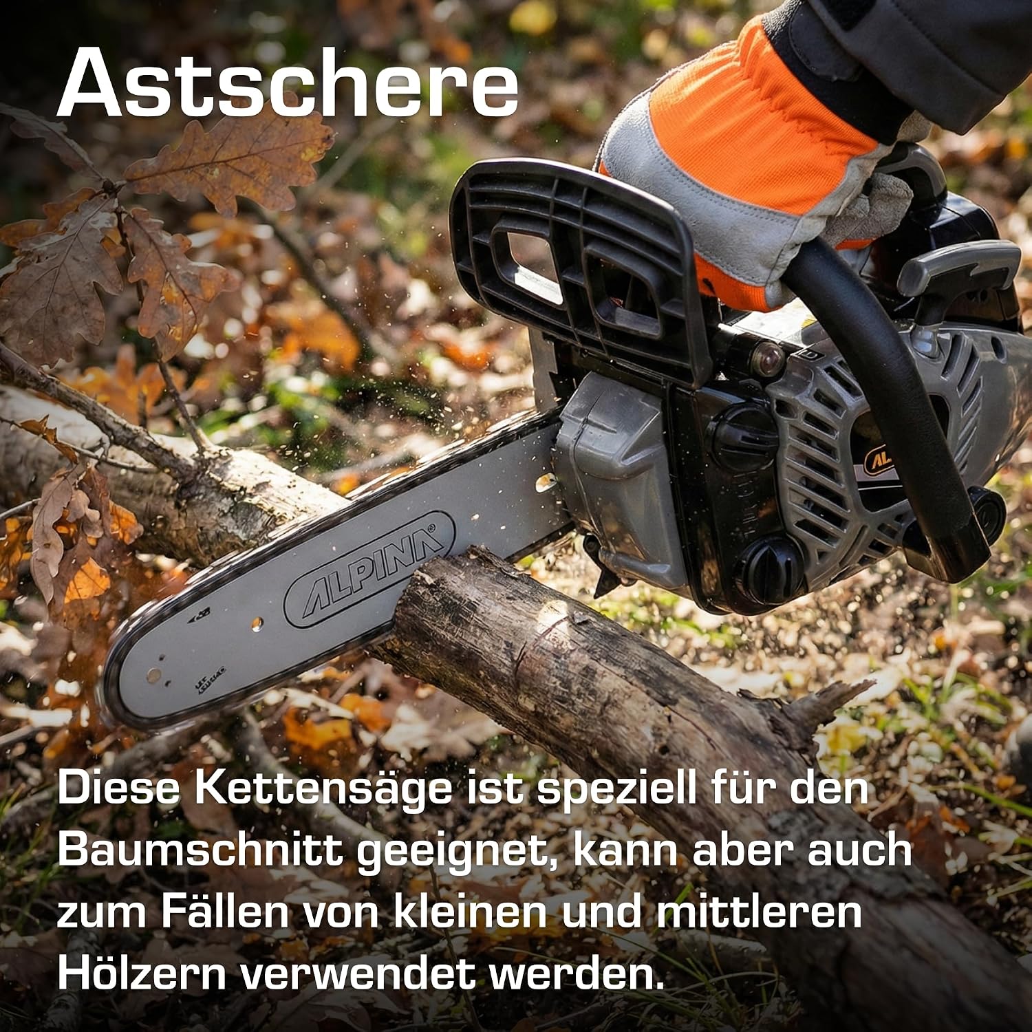 Thumbnail 3 de Alpina APR 25 Motosega da potatura — potenza affidabile per potare alberi e arbusti