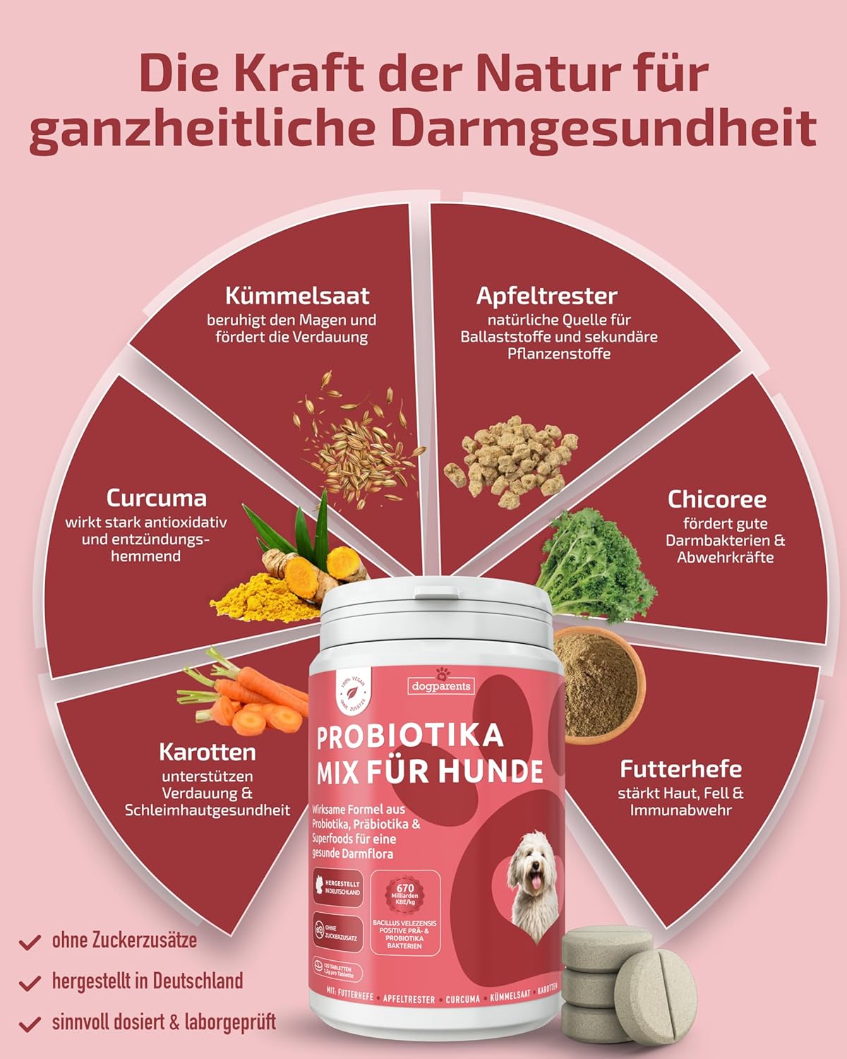 Thumbnail 2 de DOGPARENTS Prä & Probiotika Hund 670 Mrd. KBE