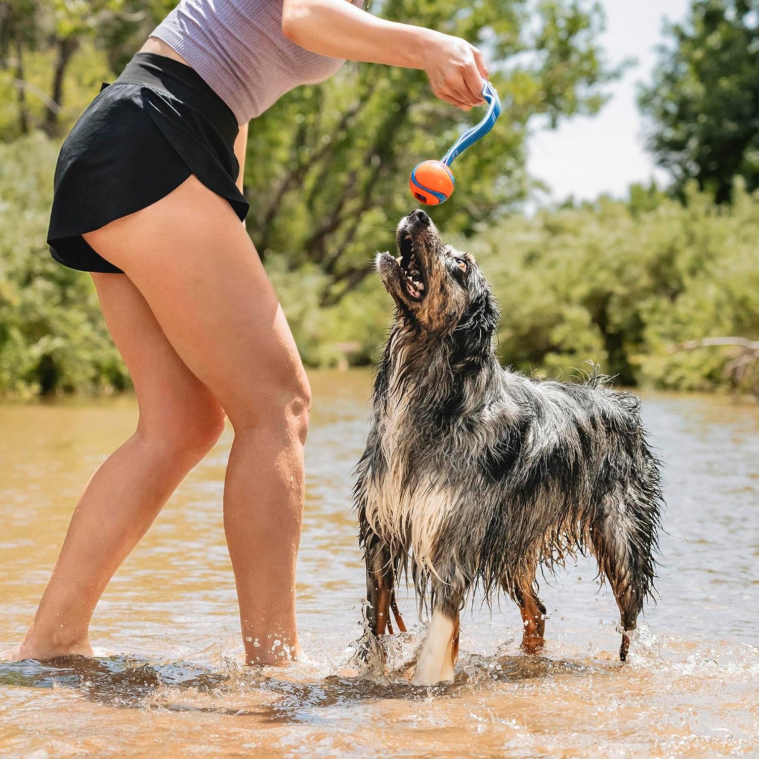 Detalle 2 de Chuckit Ultra Duo Tug 6 cm jouet chien 🦴