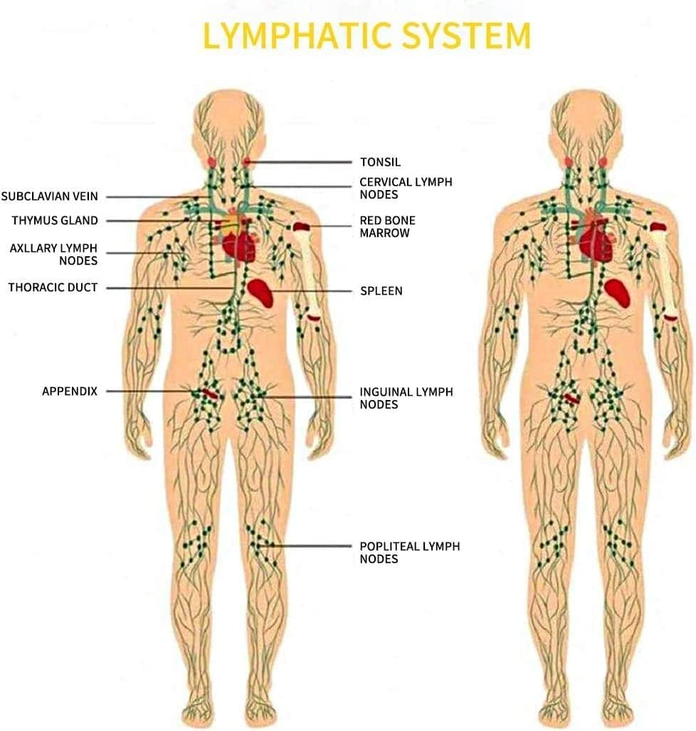 Thumbnail 5 de Ginger Oil Massage for Lymphatic Drainage 100ml