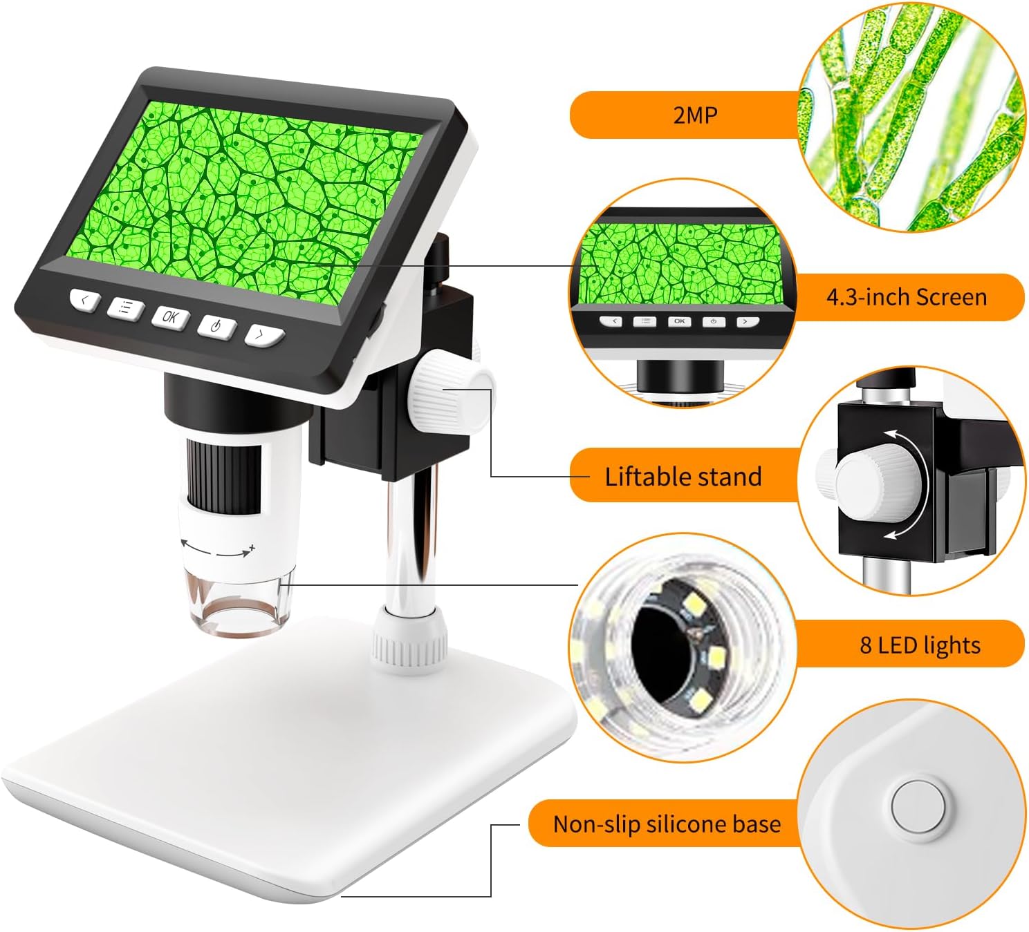 Thumbnail 4 de GlobalCrown Digital Microscope 50โ1000X ๐ฌ