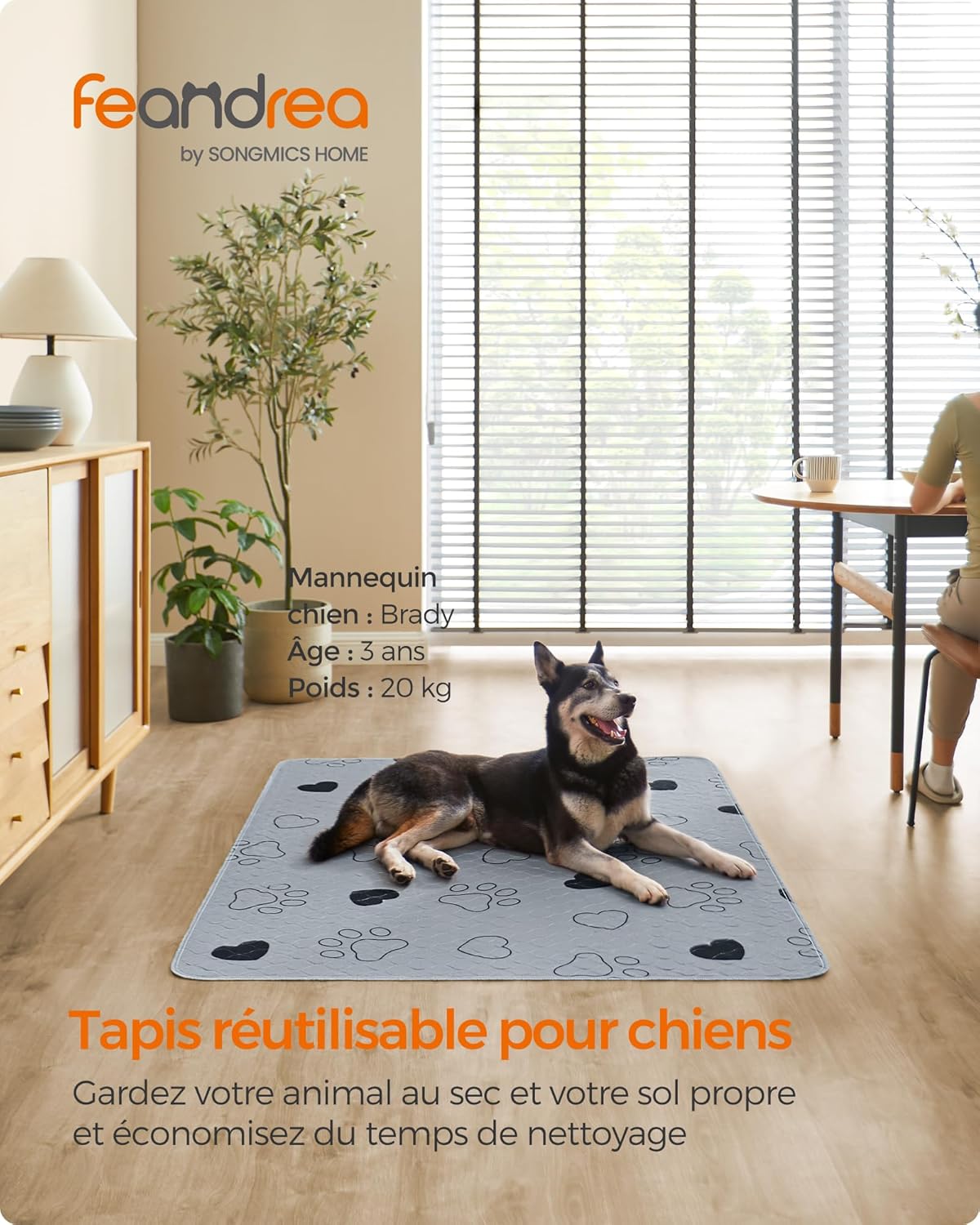 Thumbnail 1 de Feandrea Tapis Éducateur pour Chien – Lot de 2, Tapis Ultra Absorbants et Lavables, Gris, 152 x 122 cm, Taille XXL