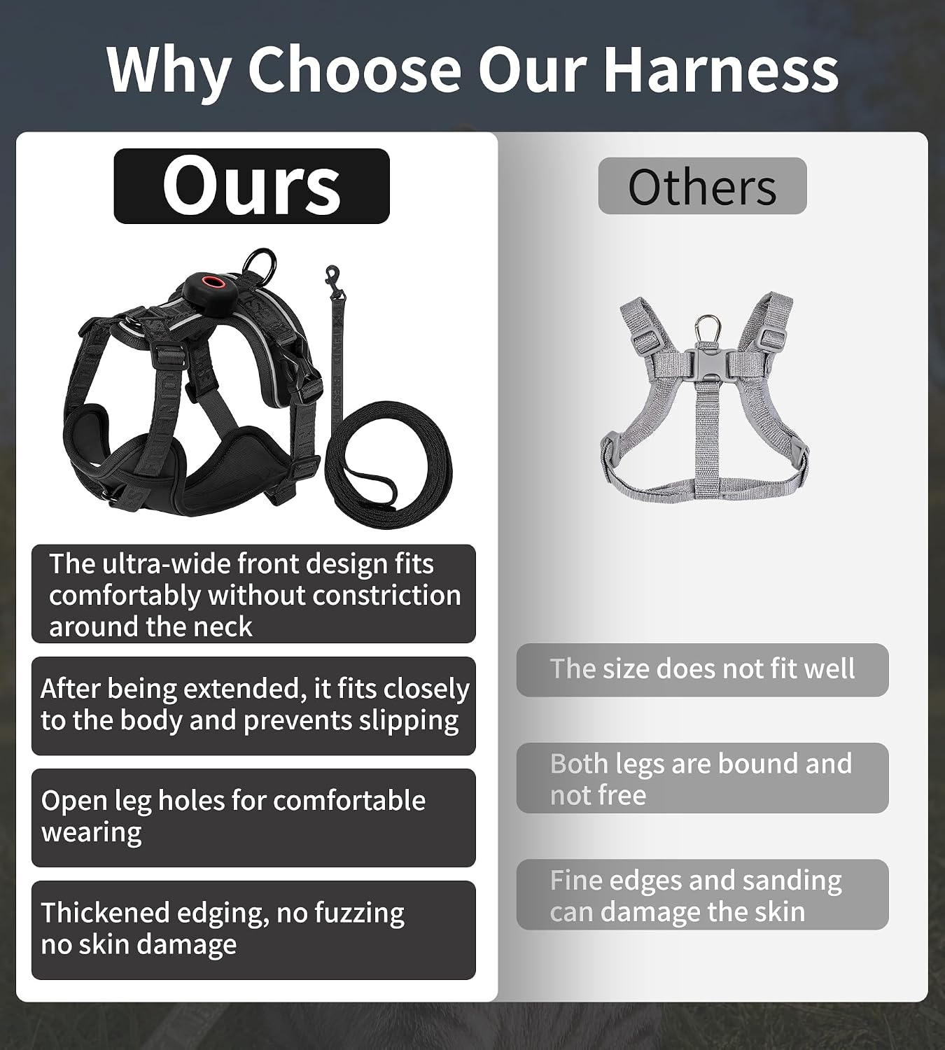 Thumbnail 4 de Cat Harness and Leash Set, Large
