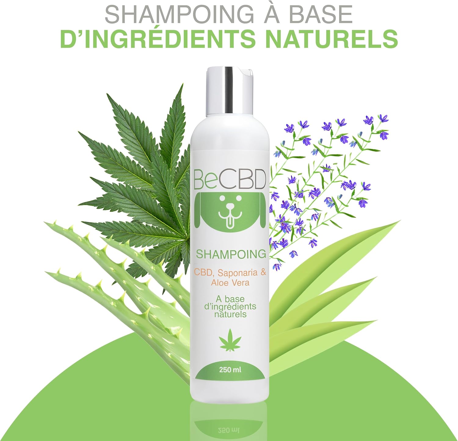 Detalle 2 de BeCBD Shampoing Chien 250 ml