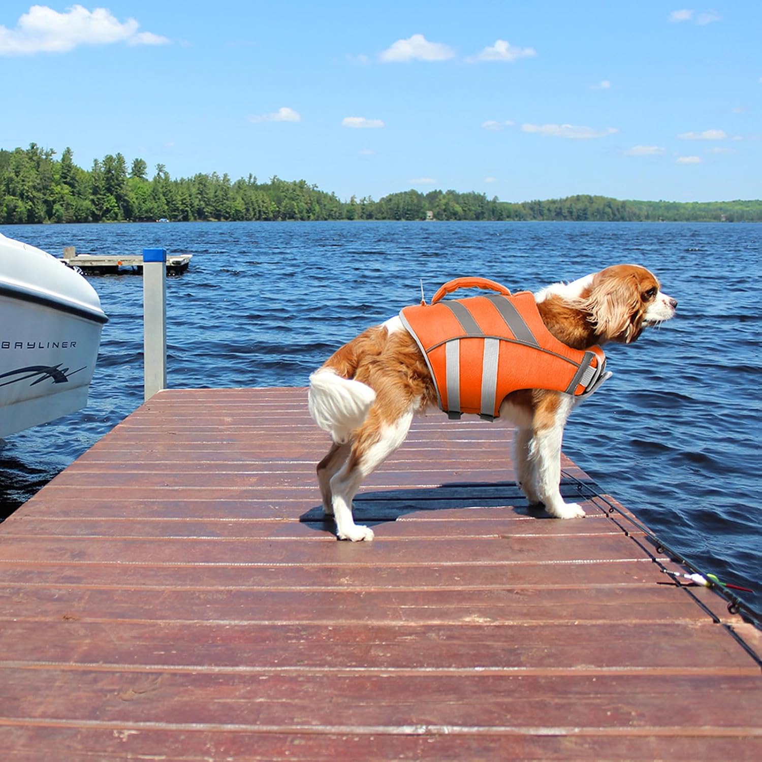 Detalle de Kuoser Hundeschwimmweste – Hoch sichtbare Rettungsweste mit Auftrieb in 6 Größen (XS–XXL) für kleine bis große Hunde