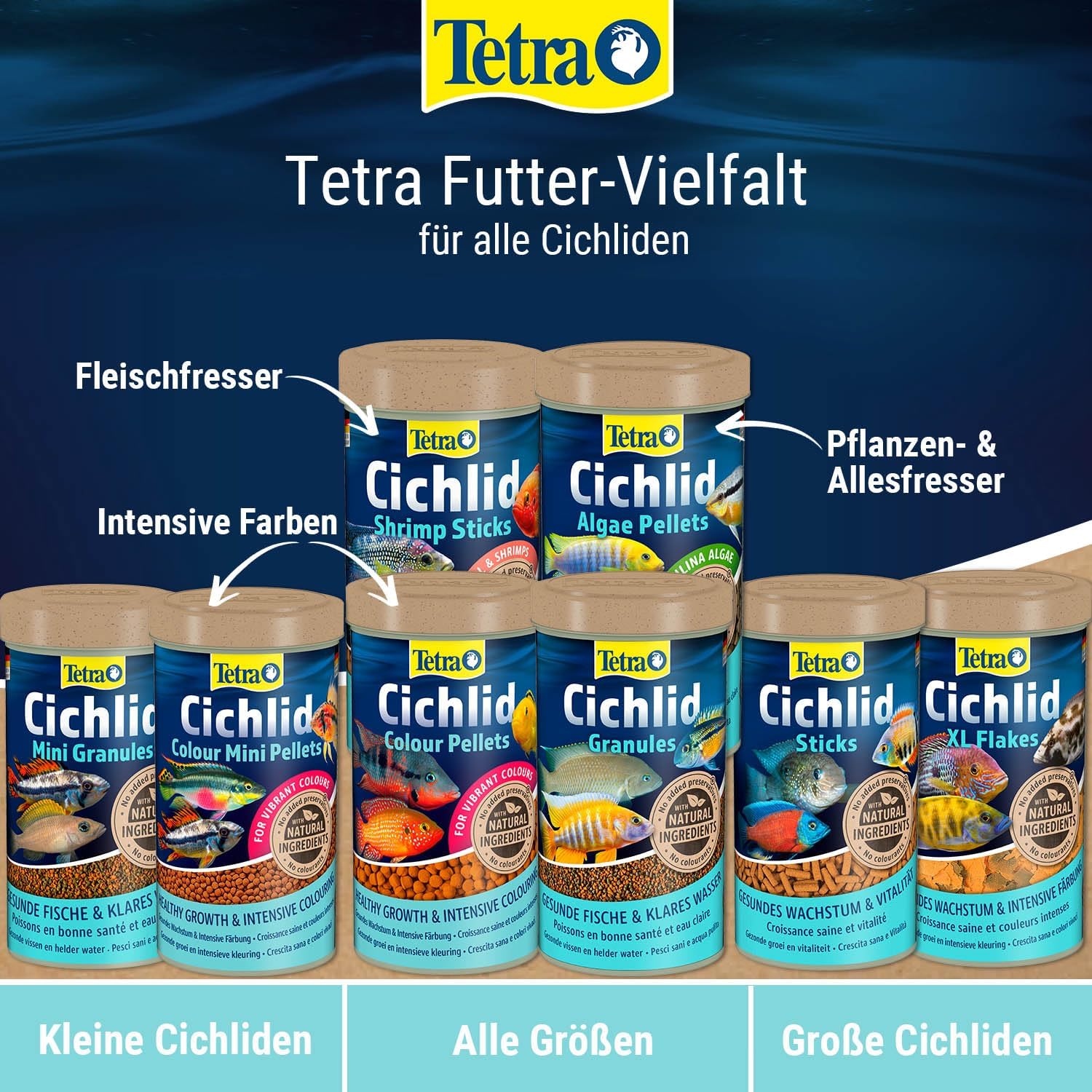 Thumbnail 6 de Tetra Cichlid Granules – Hauptfutter Mix, 500 ml Dose
