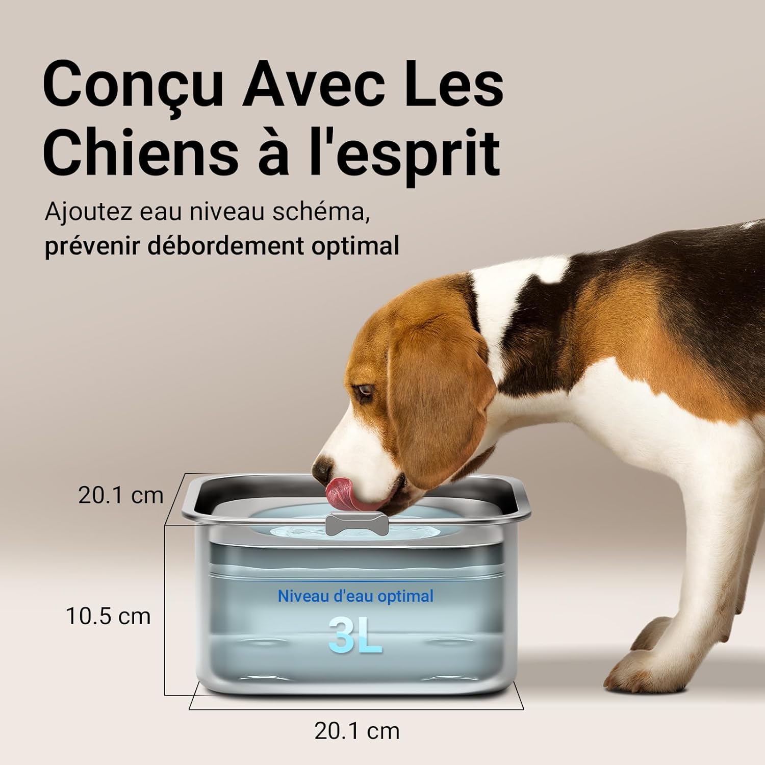 Detalle de DownyPaws Gamelle Anti-Éclaboussures pour Chien – 3L en Acier Inoxydable, antidérapante et hygiénique (Petits et moyens chiens, Argenté)