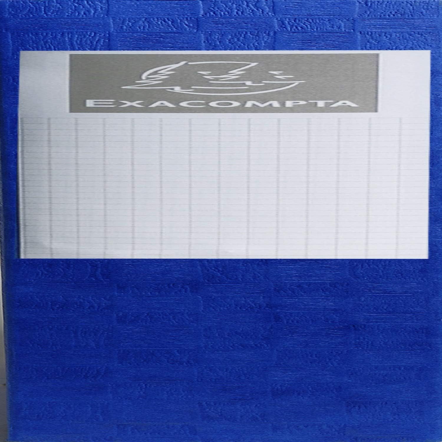 Thumbnail 2 de Exacompta 50910E – 10 boîtes de classement Scotten avec élastiques, A4, 25 × 33 cm, livré monté