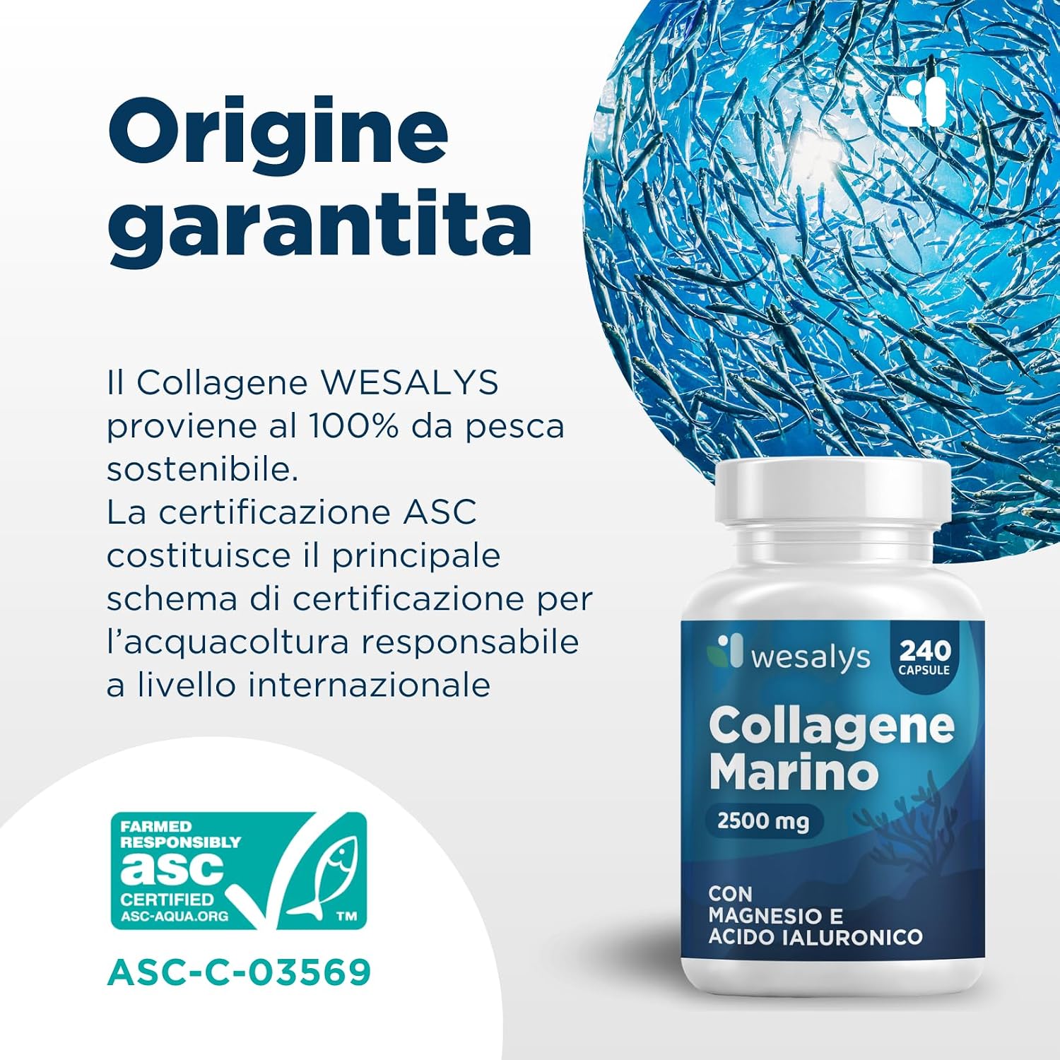 Detalle de Collagene Marino con Acido Ialuronico - Wesalys 240 Capsule: supporto pelle, capelli e articolazioni