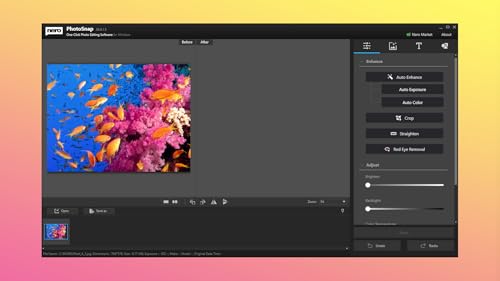 Detalle 2 de Nero Platinum Unlimited (Edición de vídeo) | Gestión y reproducción de medios 8K | Licencia ilimitada para Windows