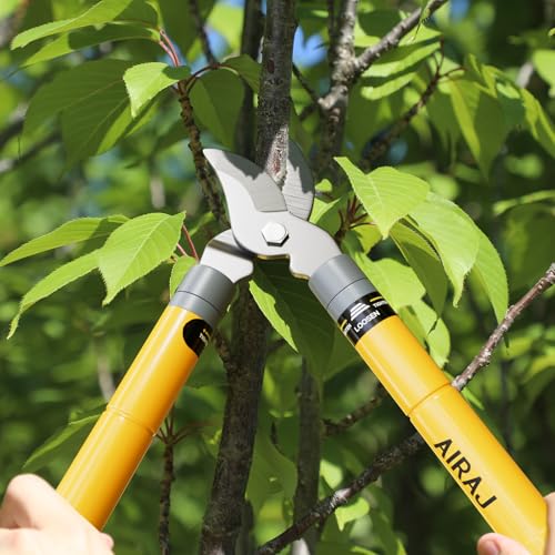Thumbnail 5 de AIRAJ 42-61cm Telescopic Tree Loppers: Heavy-Duty BYPASS Garden Shears for Thick Branches