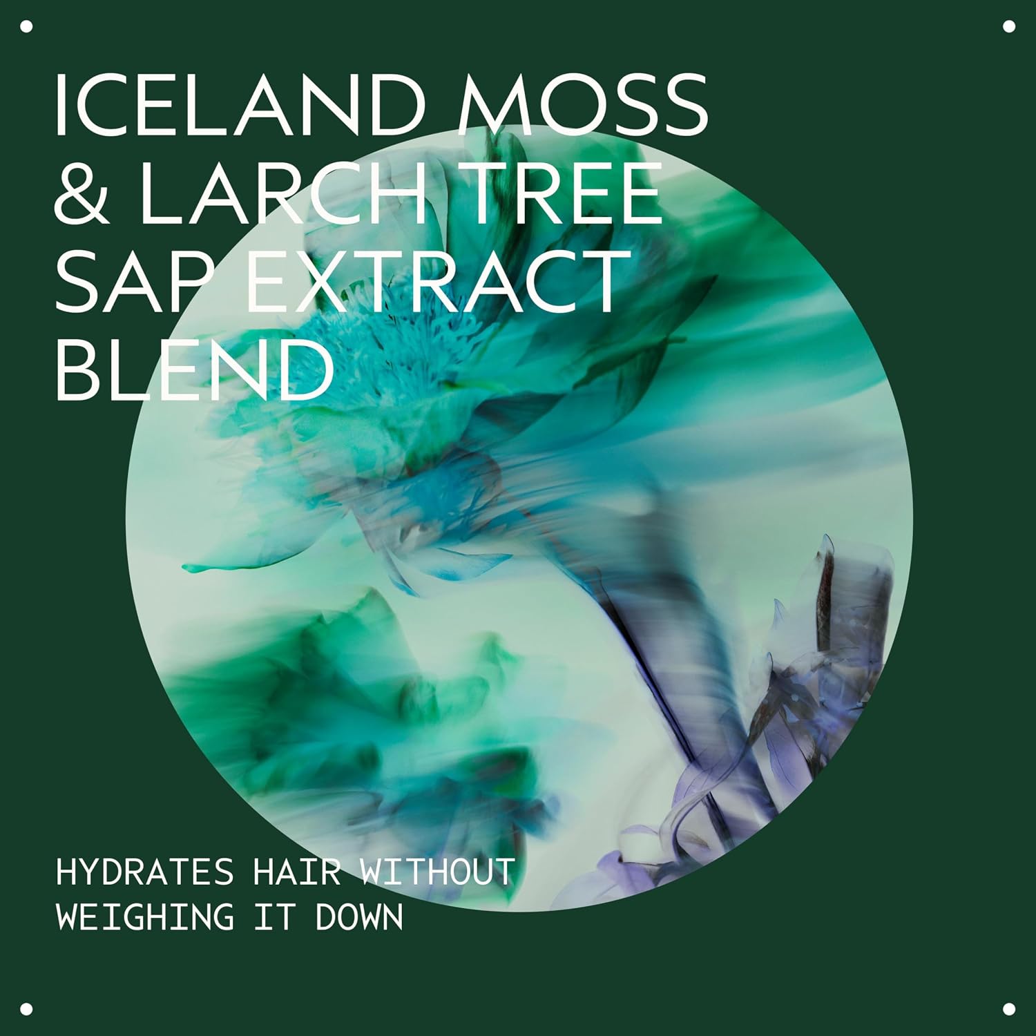 Detalle de Aveda Sap Moss Weightless Hydration Shampoo