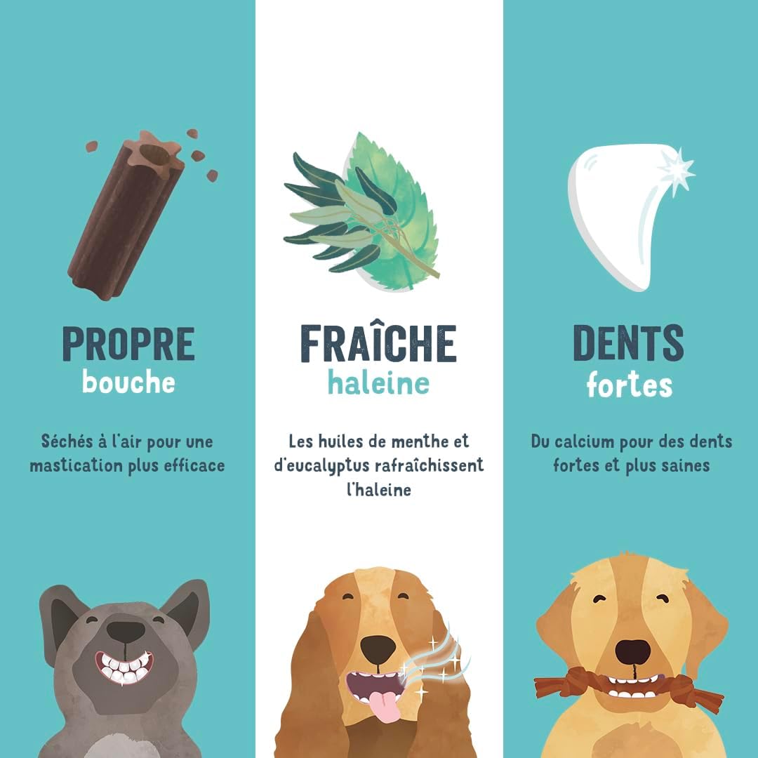 Detalle de Edgard Cooper Friandises pour Chien — Sticks dentaires Eucalyptus & Pomme (56 sticks, 40 kcal chacun)