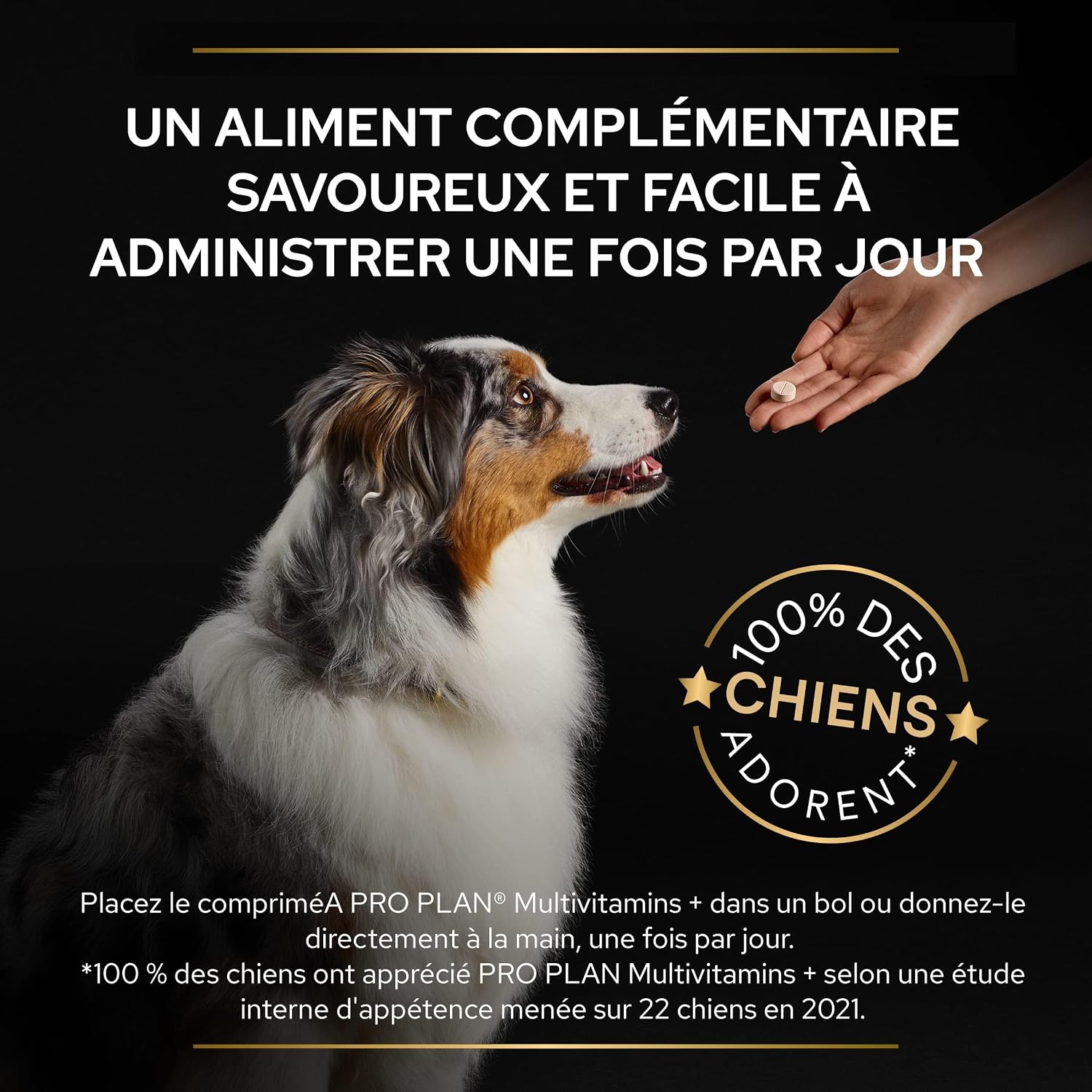 Thumbnail 6 de PURINA PRO PLAN Multivitamins+ pour Chien – Alimentation complémentaire en poudre, boîte 60 g