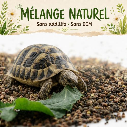 Detalle de AF® - Graine Tortue Terrestre à Semer, Mélange 4 Plantes Sauvages pour Testudo Hermann en Enclos | 40g